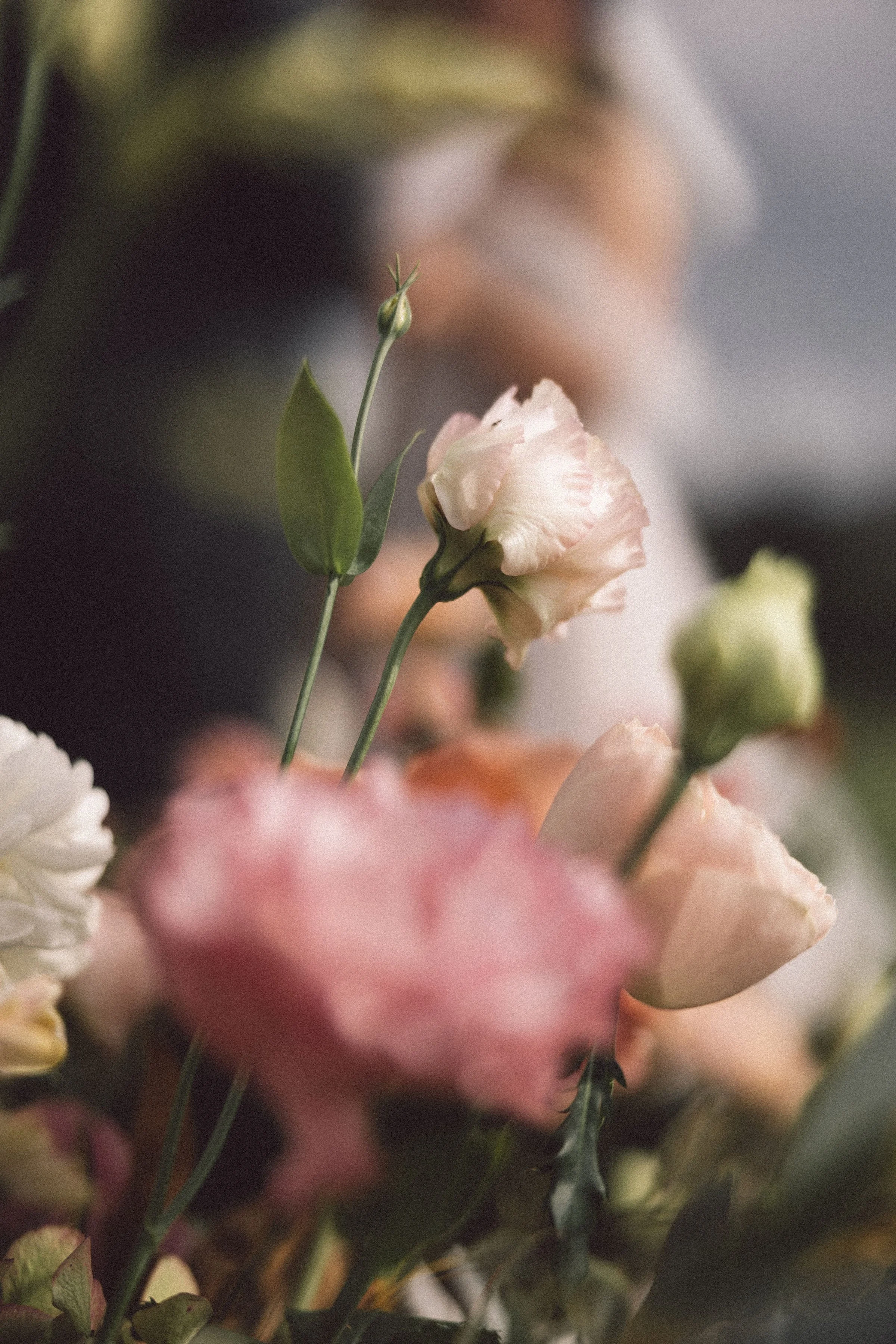 LeahZac-Elopement-WallaringaFarm-100.jpg