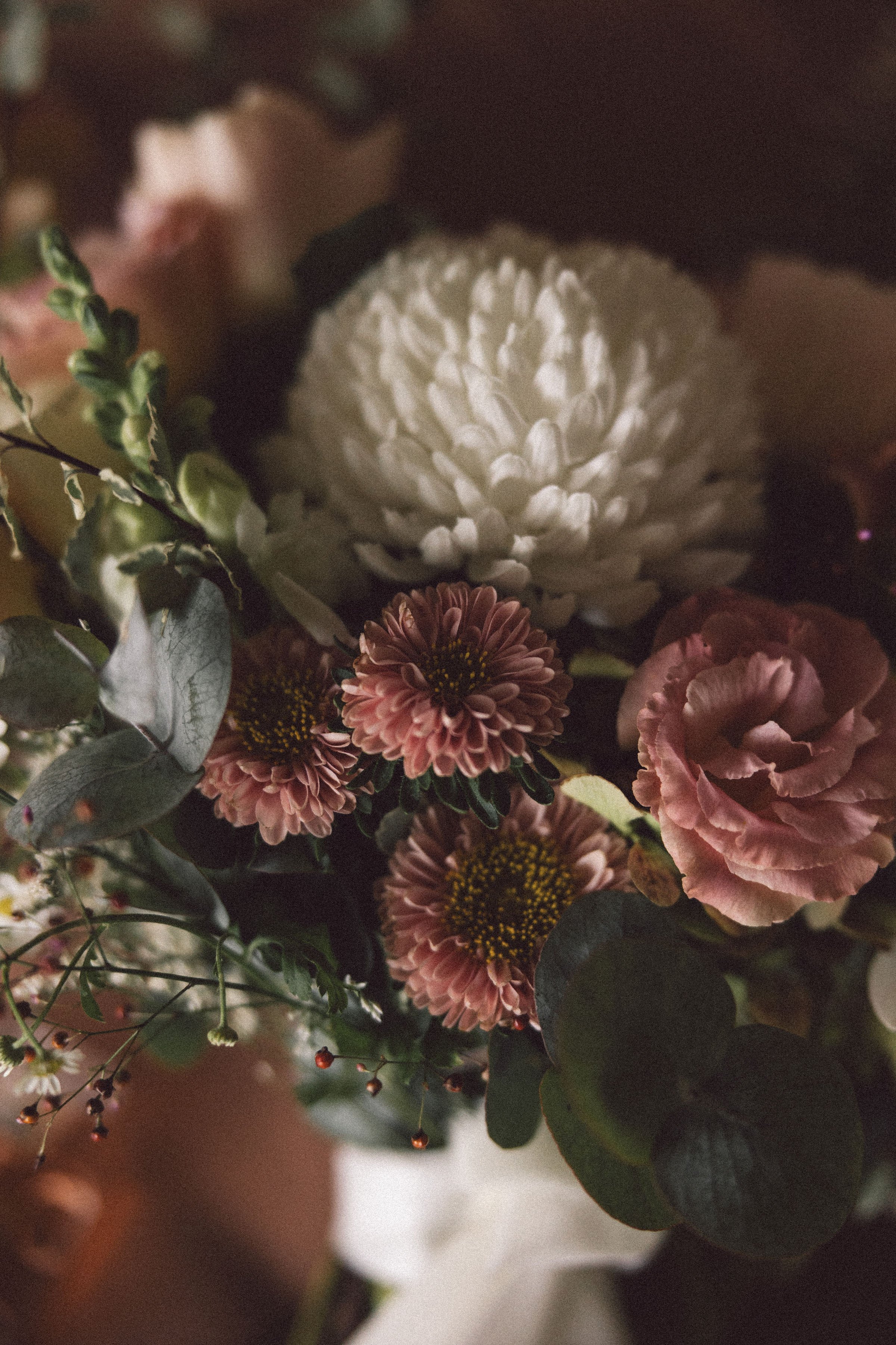 LeahZac-Elopement-WallaringaFarm-14.jpg