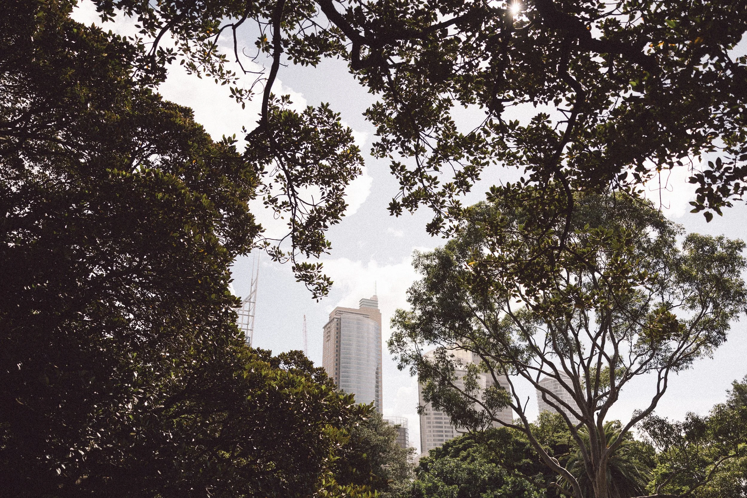 Amy+Aaron-TerraceontheDomain-FirstLook-31.jpg