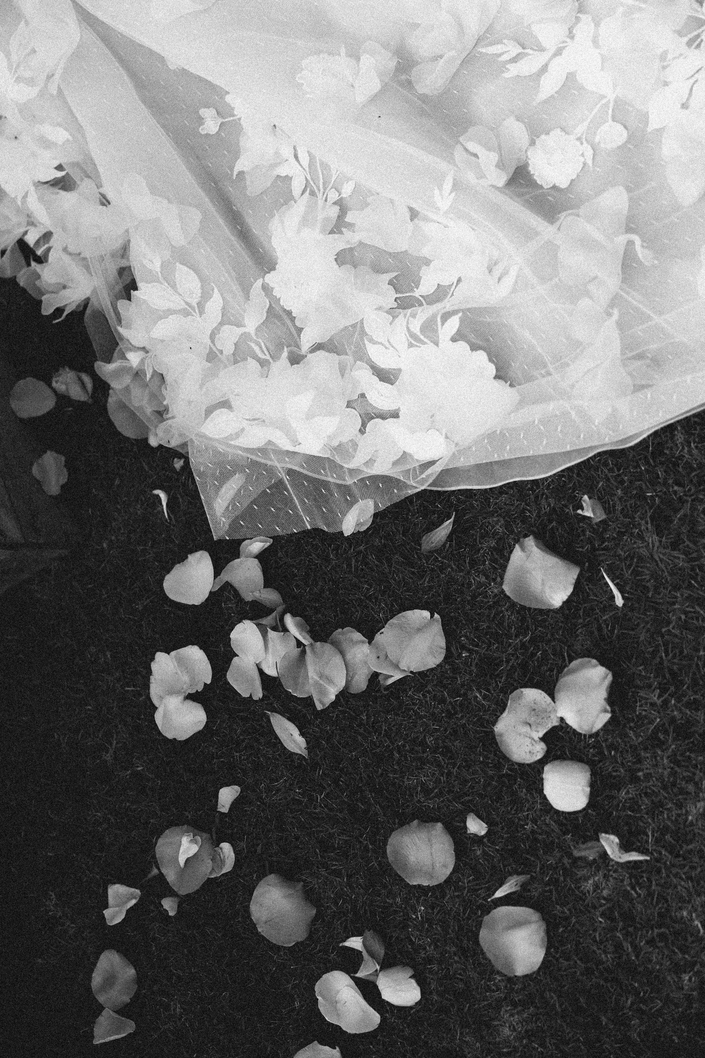 LeahZac-Elopement-WallaringaFarm-85.jpg