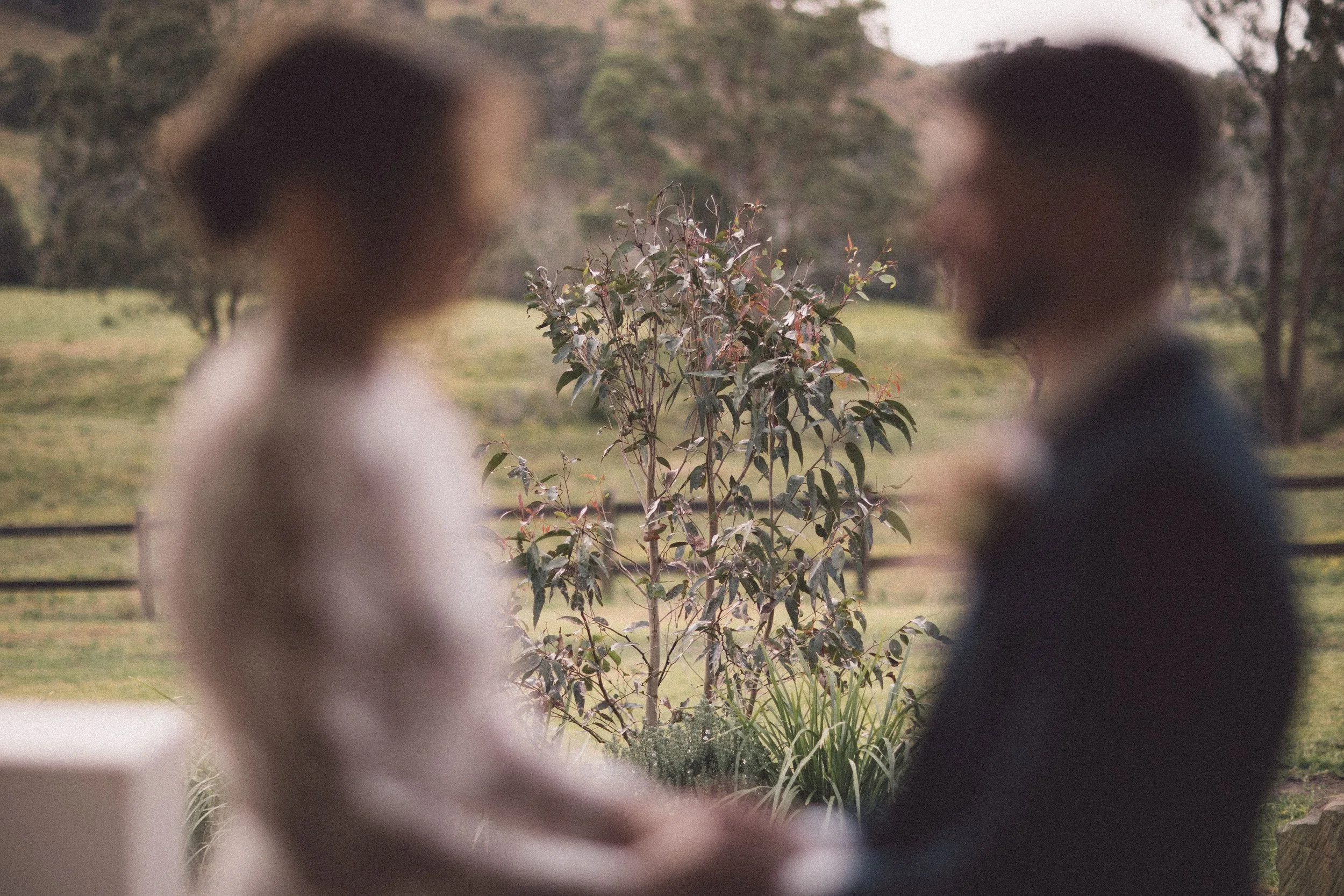 AlanaPerry-WeddingWallaringaFarm-113.jpg