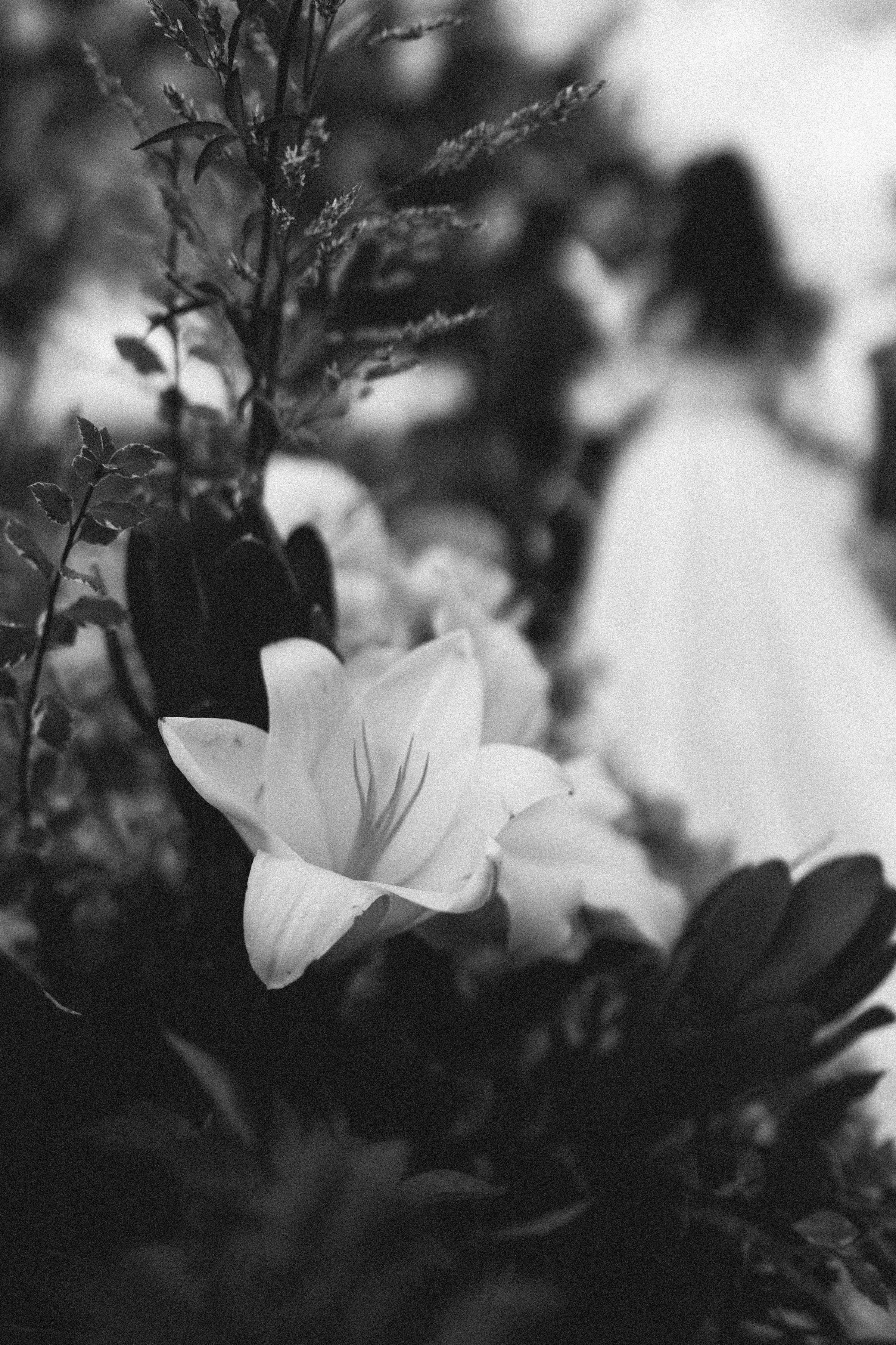LeahZac-Elopement-WallaringaFarm-113 (1).jpg