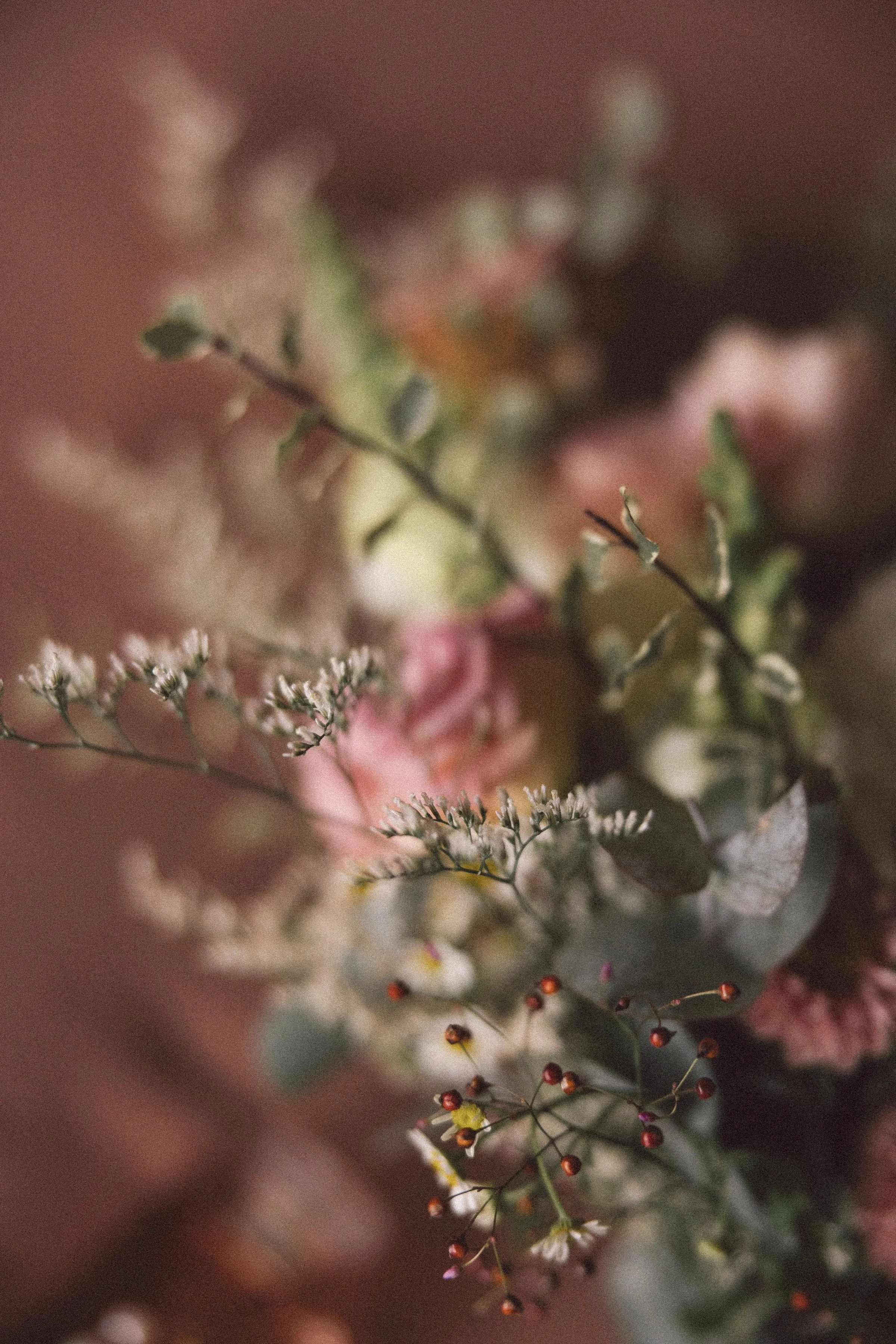 LeahZac-Elopement-WallaringaFarm-13.jpg