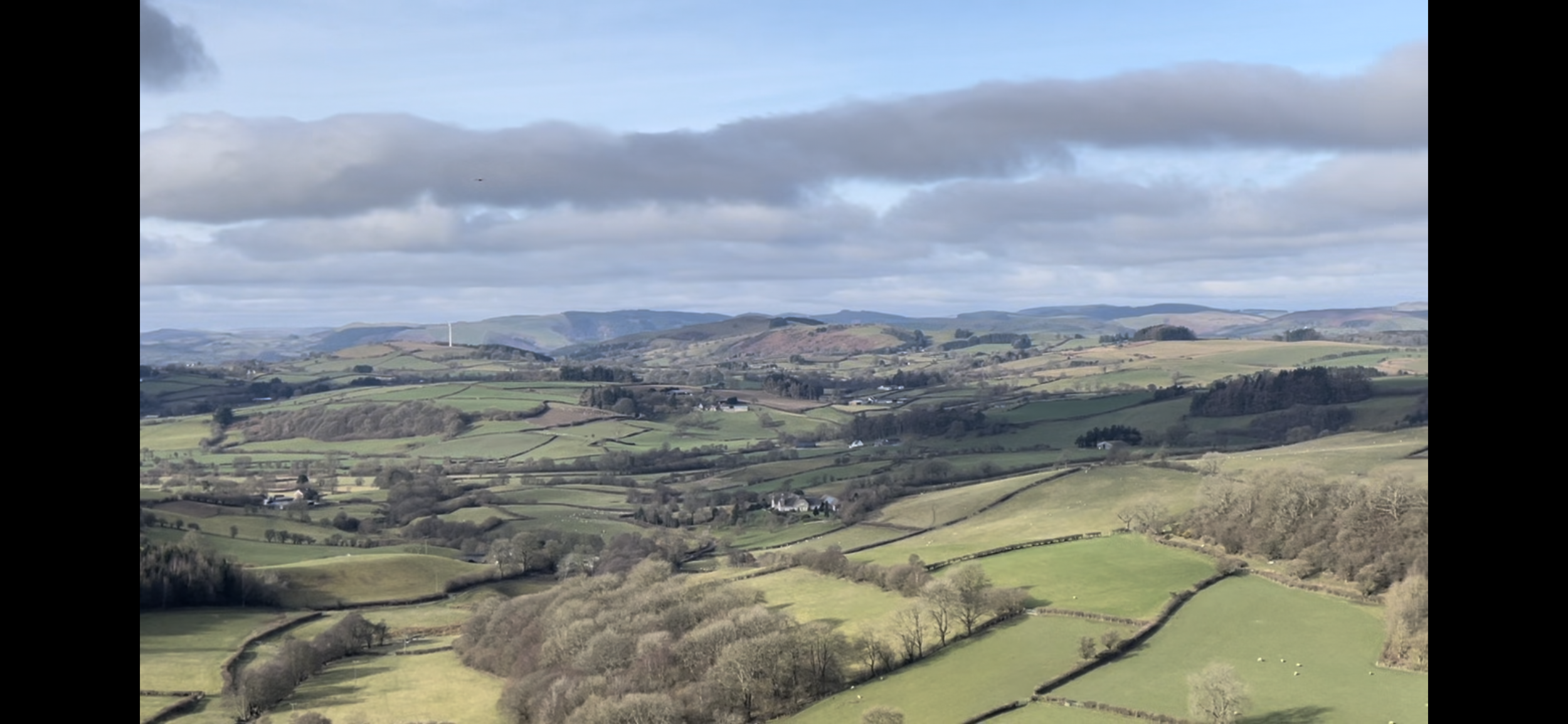 Coco's Screen Shot for mobile.PNG