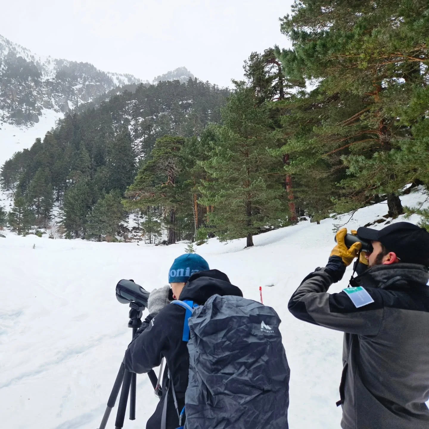 What if nature held an official seat at the United Nations &mdash; not as a topic, but as a delegate?

At TOUMUN VIII, hosted by the Polyvalent Fran&ccedil;oise School in Tournefeuille, this idea came alive. Together with Dr. Jonathan Carruthers‑Jone