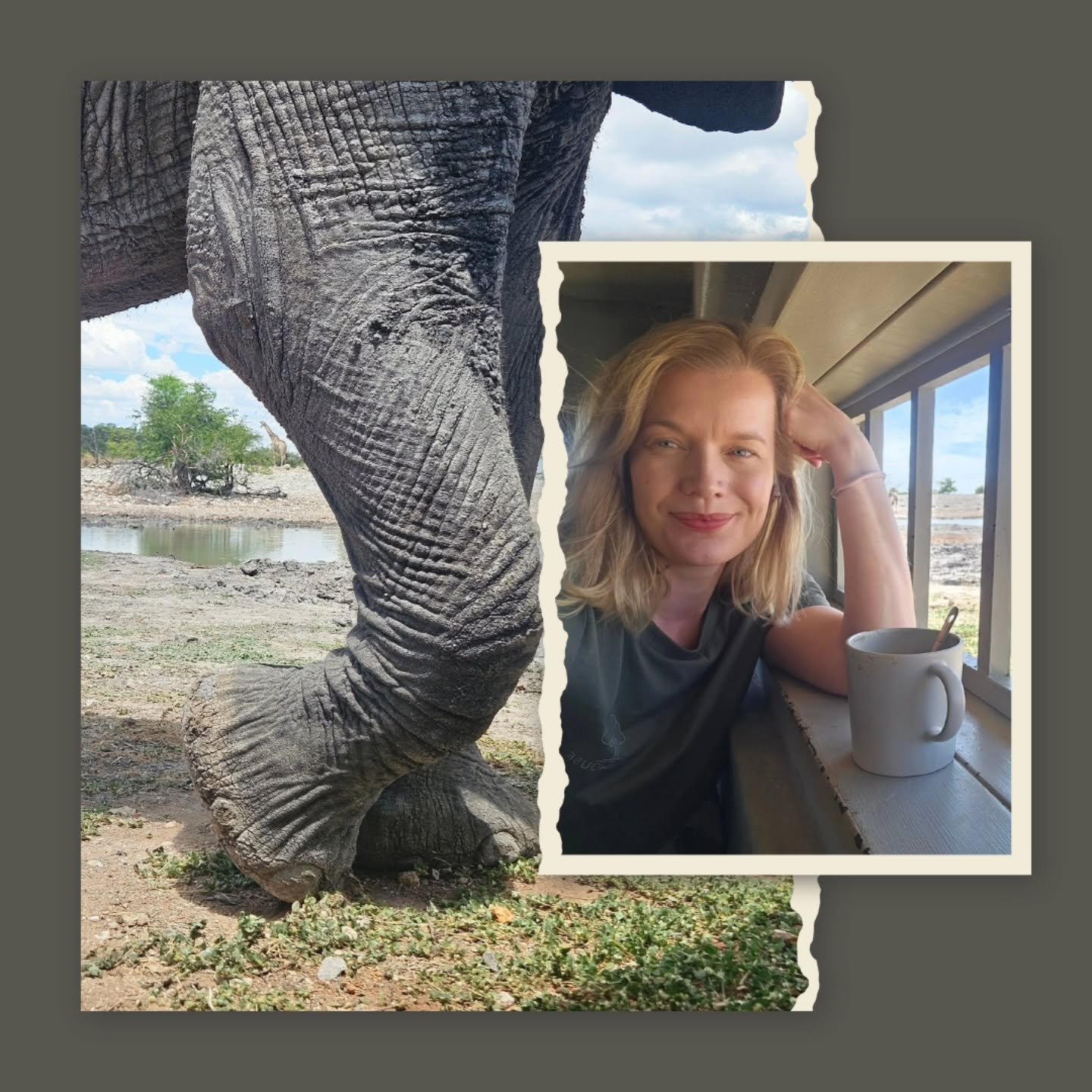 When I was nine, I dreamed of buying a big truck and driving around the world rescuing animals to bring them to my own island sanctuary. 

30 years later, I still don't have that truck or island. But I've spent the last decade trying to answer a ques