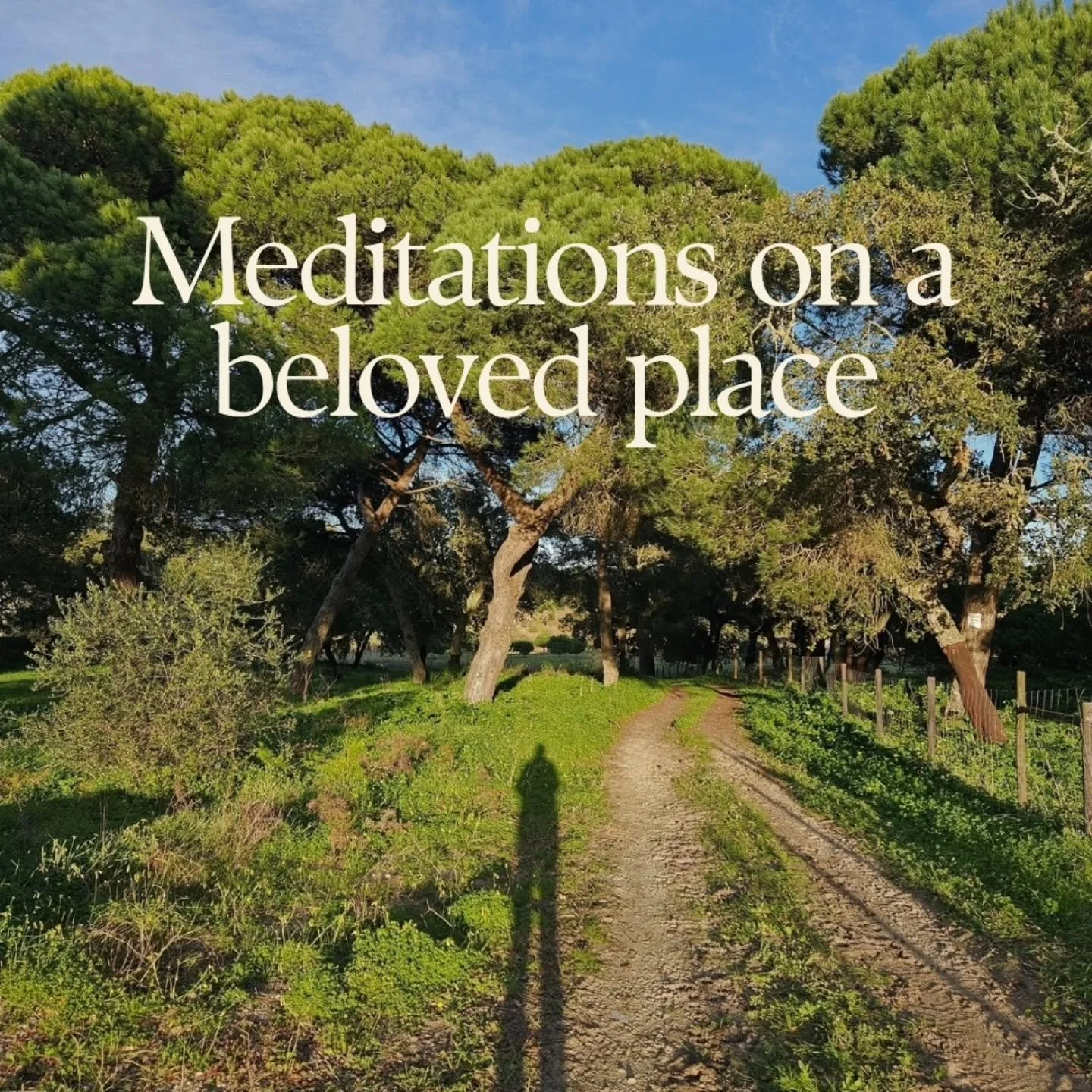 Over the past year I have thought a lot about, and deeply felt, place-based grief. Growing up as a third culture kid meant moving across languages, cultures and countries since the age of two. Life became a cycle of exciting new beginnings, adaptatio