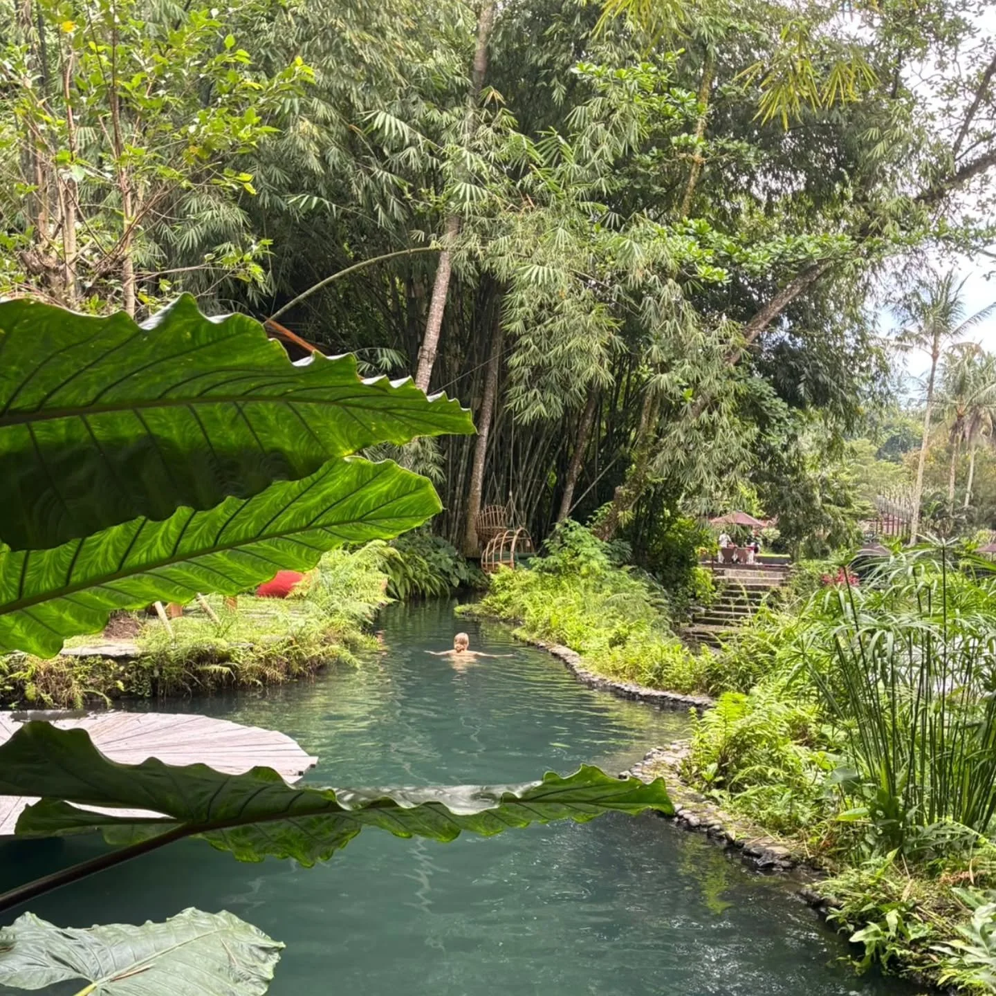 Life is better when you're amongst the trees and your hobbit feet can roam free 🌳 Thank you @charlotte_ukhk for taking me to this paradise! The shire is real 🌳🫶
