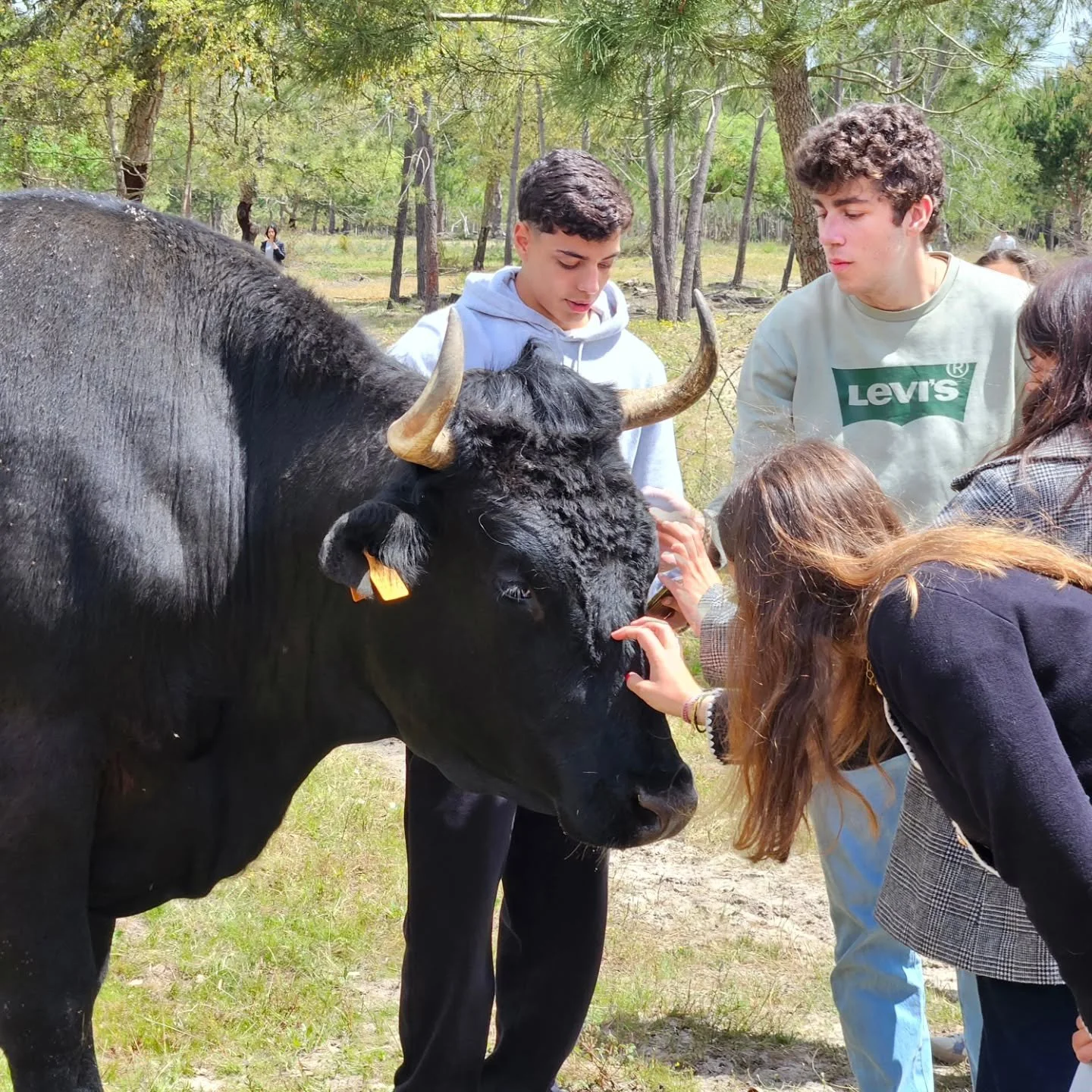 Why do we collaborate with sanctuaries in our ecojustice education workshops? 

Sanctuaries offer windows into more peaceable multispecies communities and they shed light on the epistemic and systemic violence against animals beyond sanctuary borders