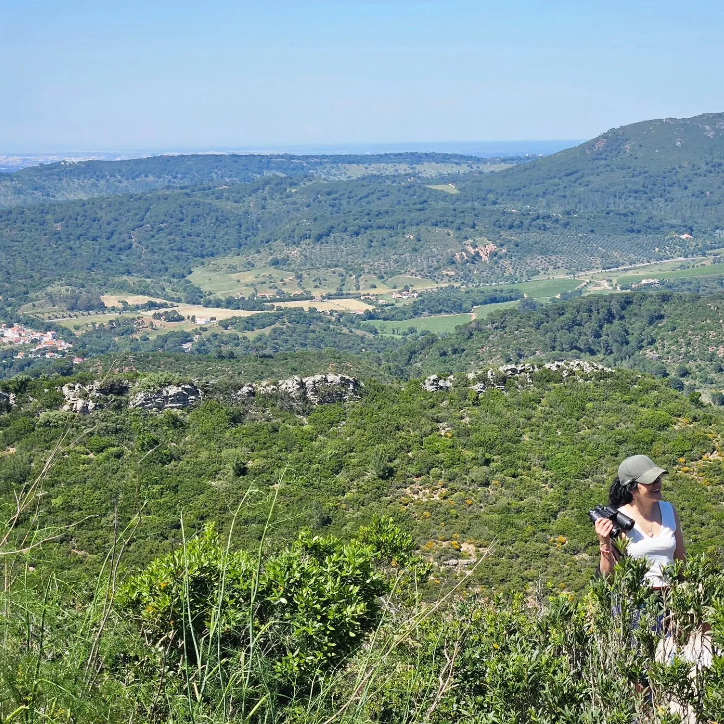 What can we learn from animals about recovering from fires?

This is the focus of the ERC ABIDE project coordinated by Dr. Ver&oacute;nica Policarpo at  @humananimalstudiesics.

Focusing on wildfires as disasters that challenge previous expert knowle