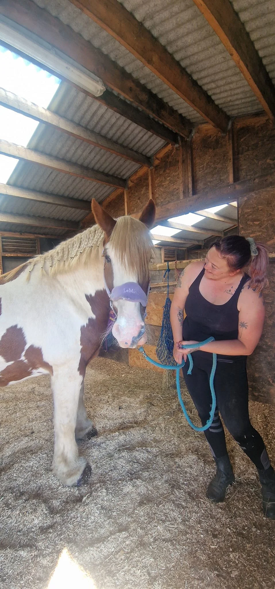 Can I Clean My Horse's Sheath Myself?