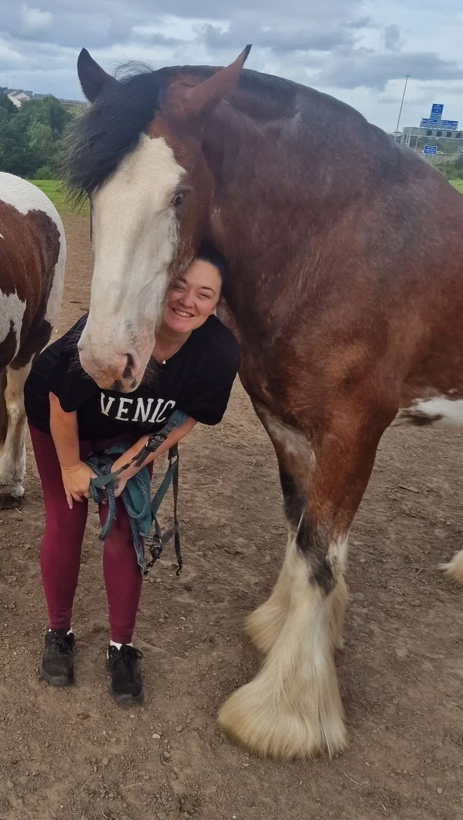 More Than Learning a Skill: Building a Safer Pathway into Equine Intimate Health