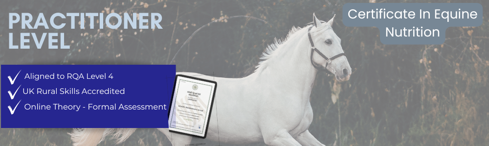 Image of a white horse running in an outdoor setting with trees in the background. Overlay text highlights a 'Practitioner Level' certification in equine nutrition, including RQF Level 4 alignment, UK Rural Skills accreditation, and online theory assessment. A certificate is also shown.