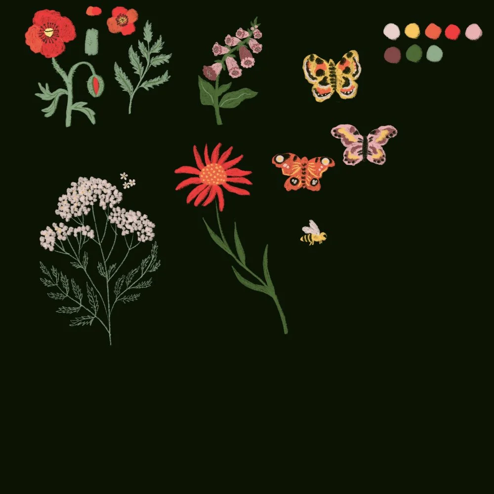 Wildflower sketch.jpg