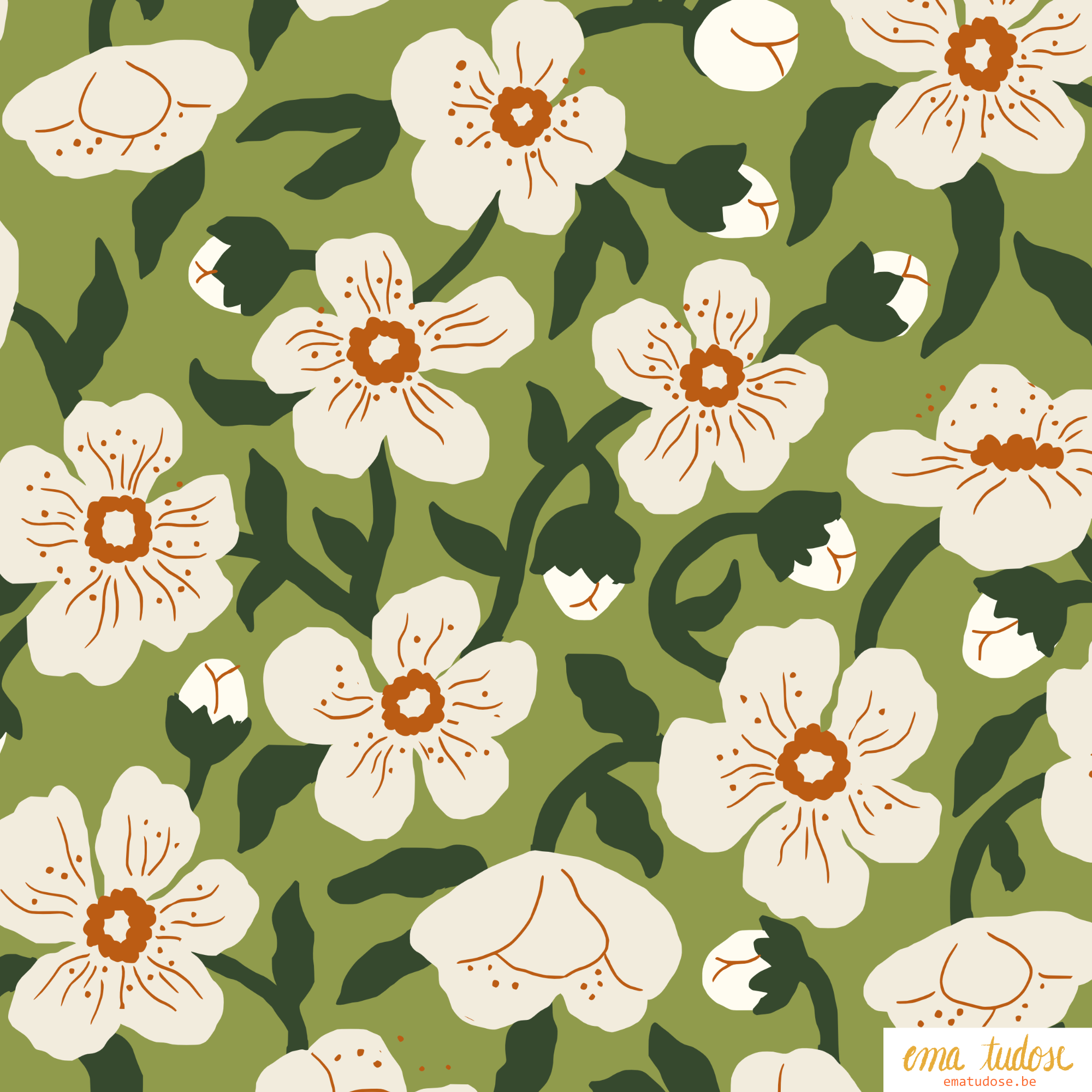 Apple blossoms_Ema Tudose.png