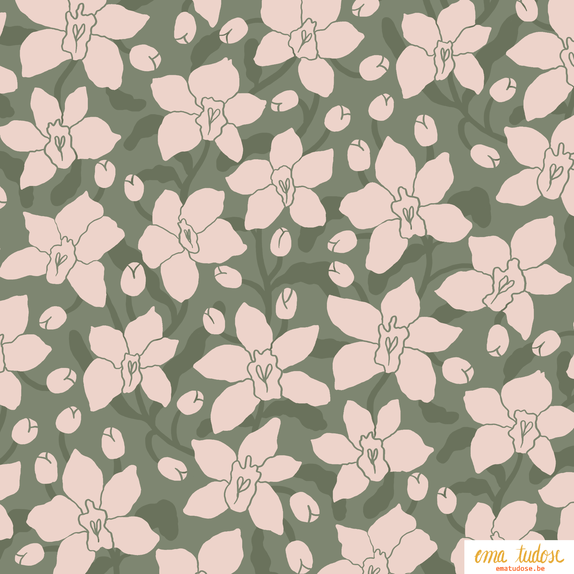 Blush Orchid Blooms — Illustrated Botanical Pattern
