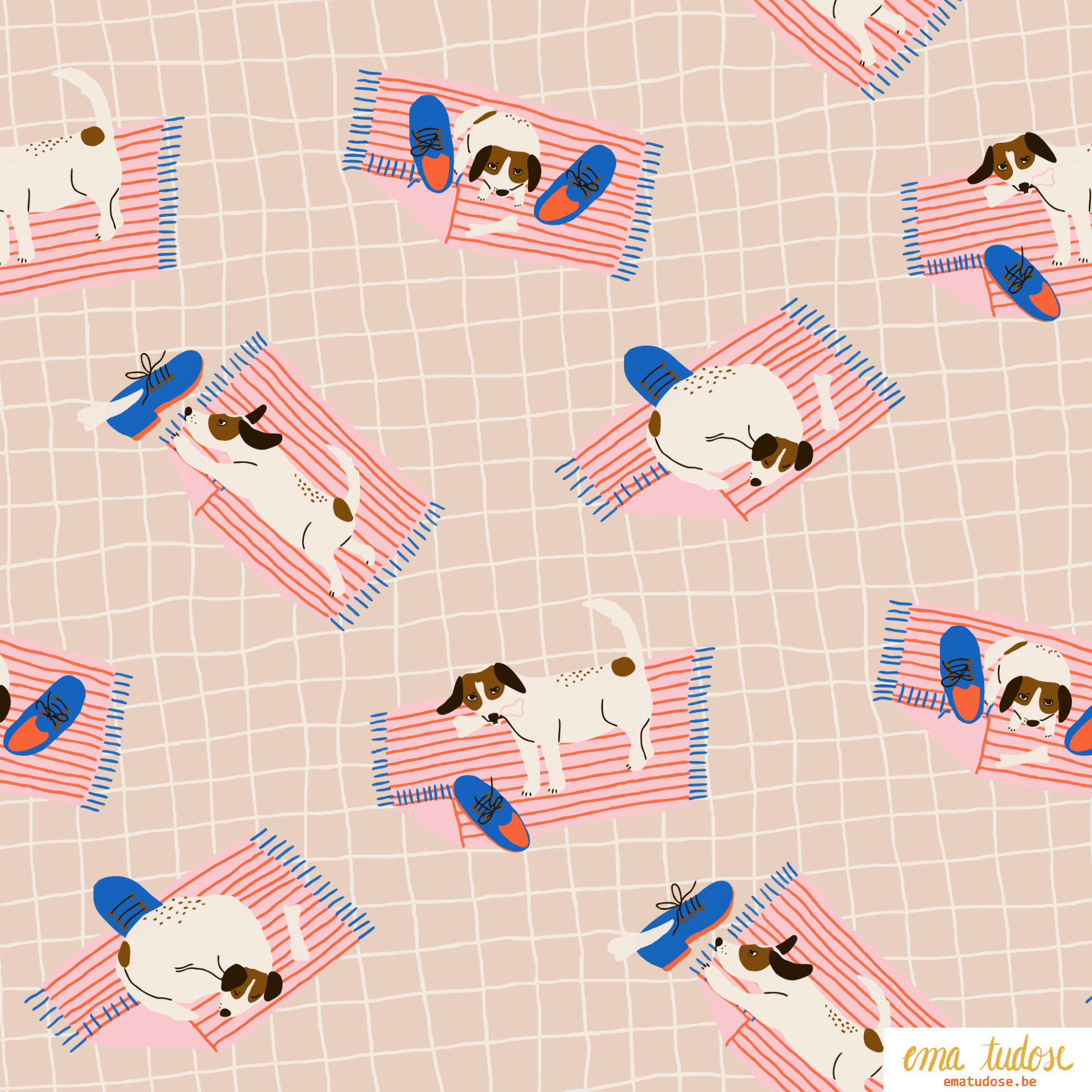 Dog and shoes Ema Tudose