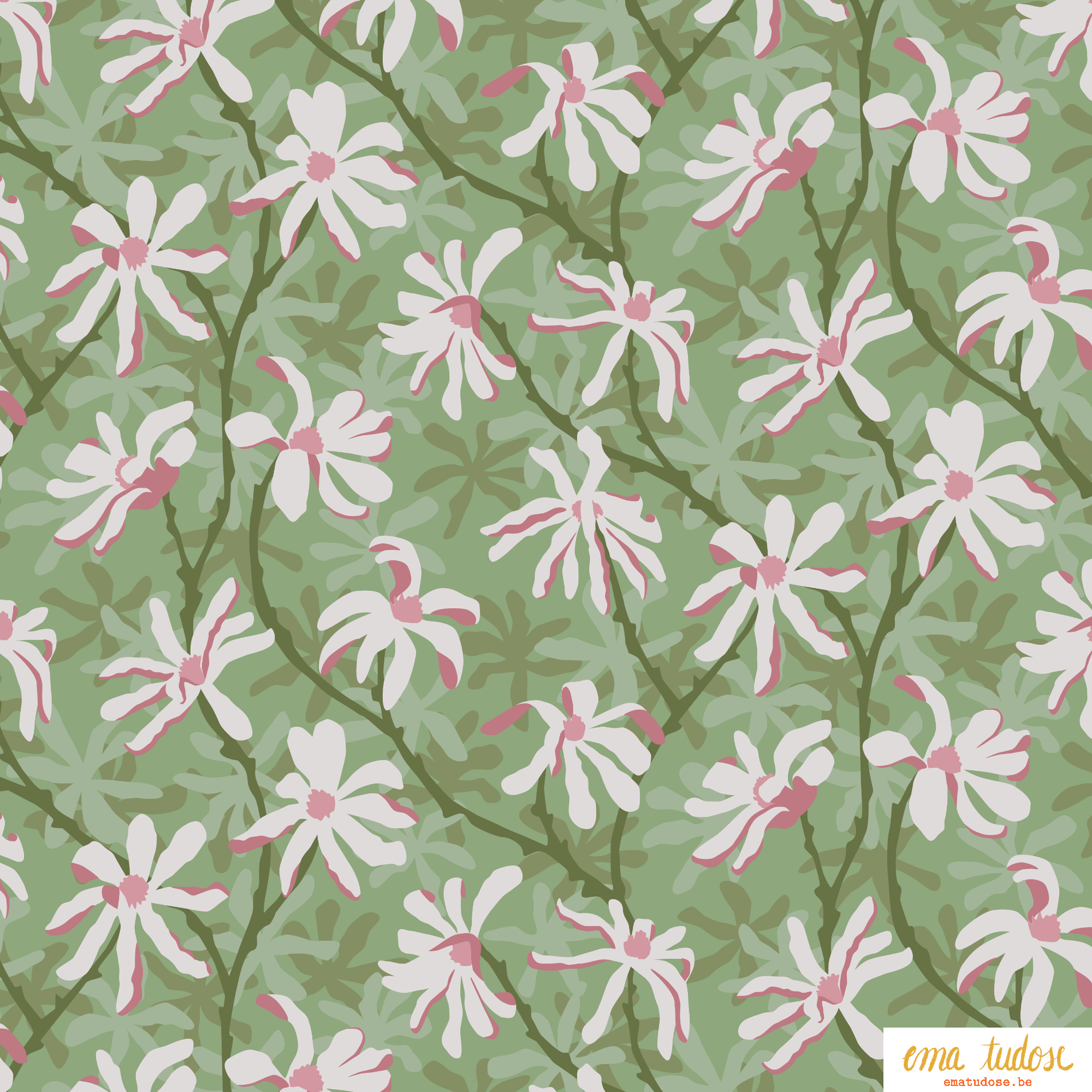 Star Magnolia Blooms — Illustrated Botanical Pattern