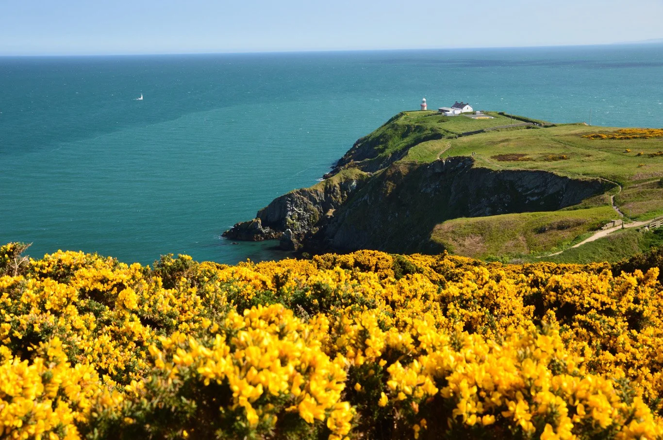 Howth Hike - 4th September