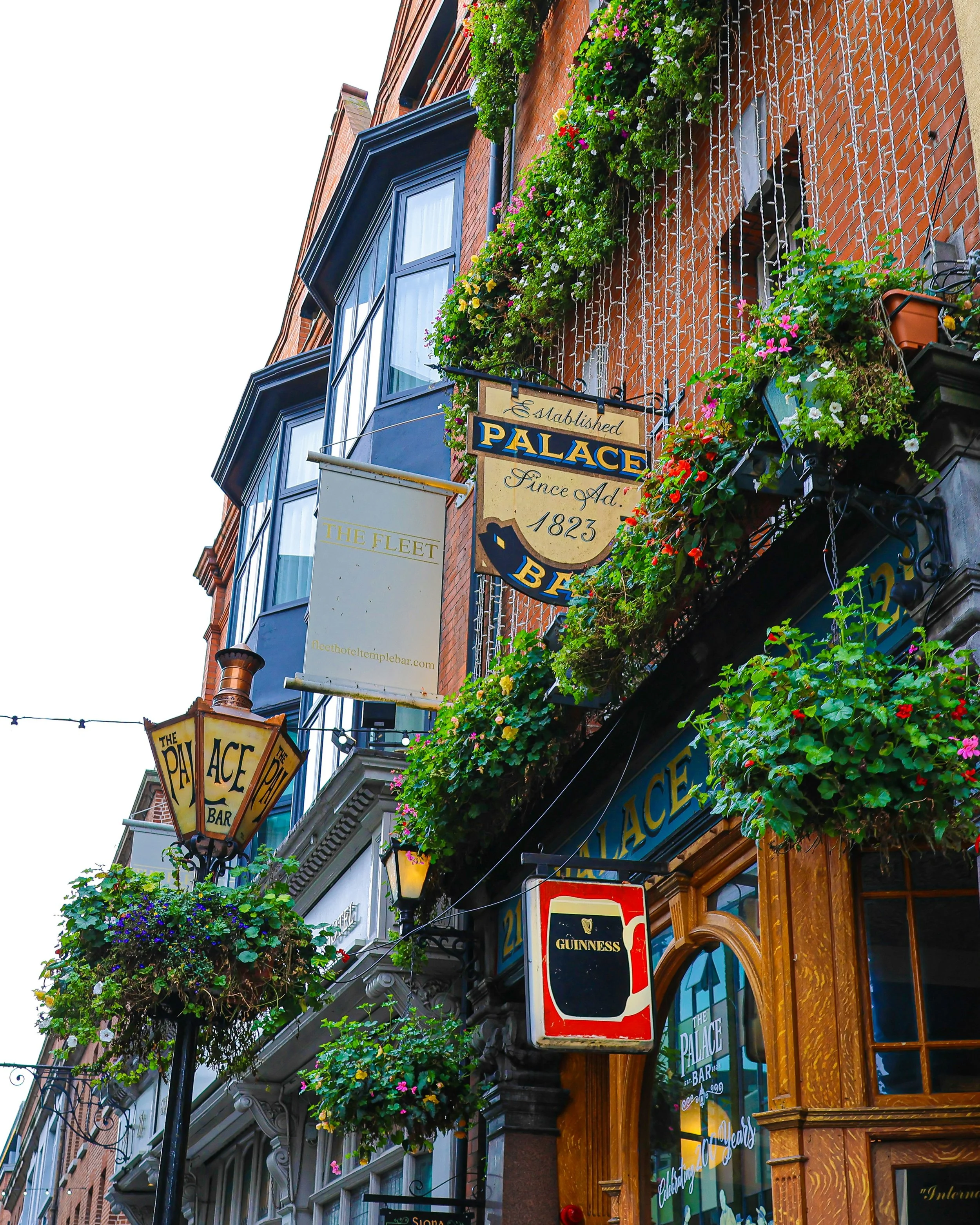 Welcome Drinks - 5th September