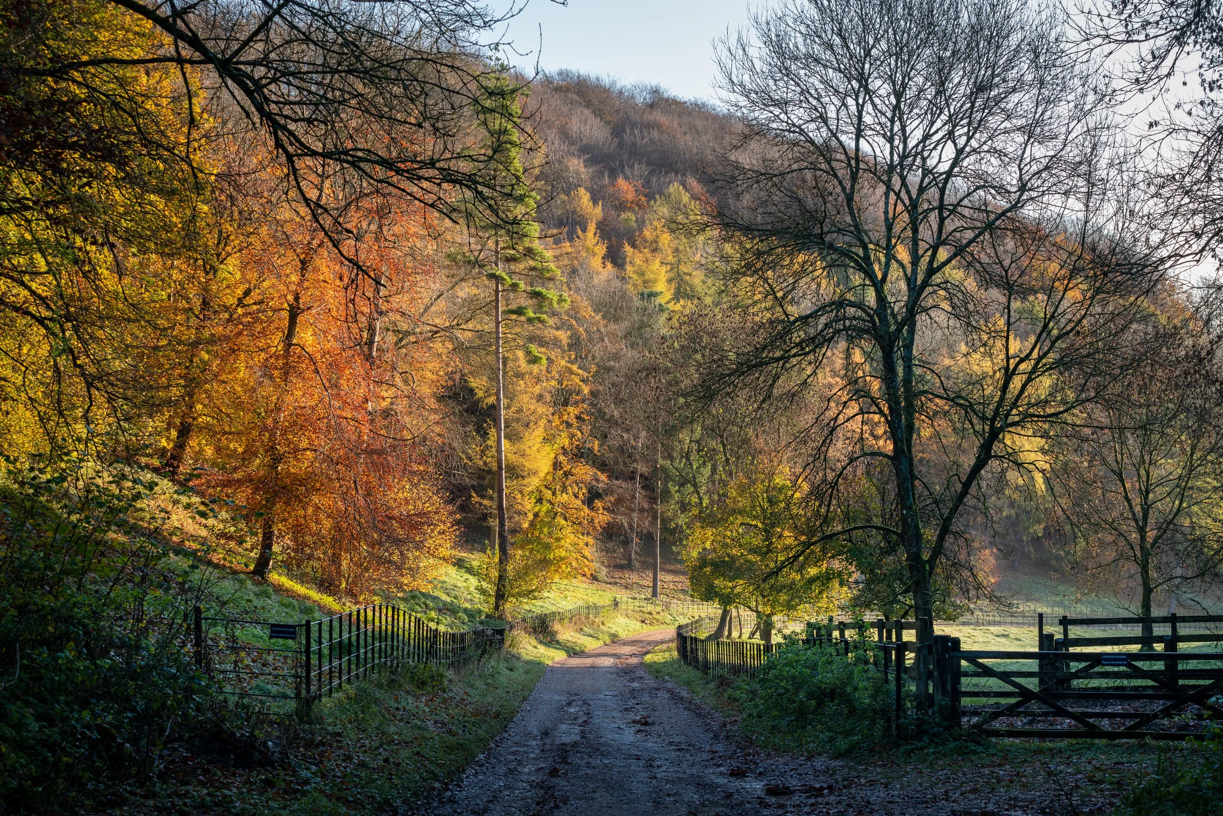 Woodchester Manor Park