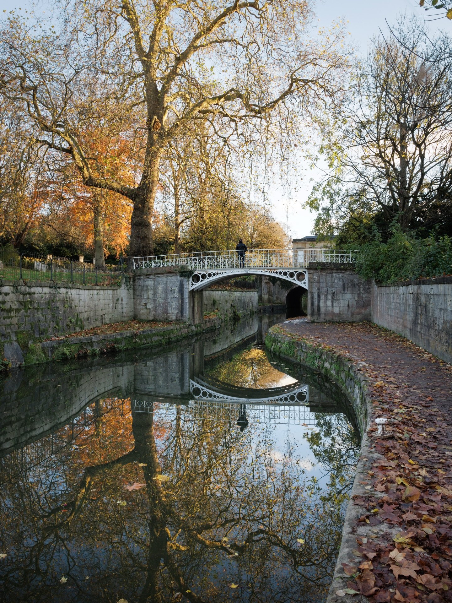 One last glimpse of autumn in Sydney Gardens, where any season is incredibly beautiful. The Kennet and Avon canal passes through here, bisecting the Georgian pleasure grounds adding a serene and gently sinuous feature - perfect for strolling along aw