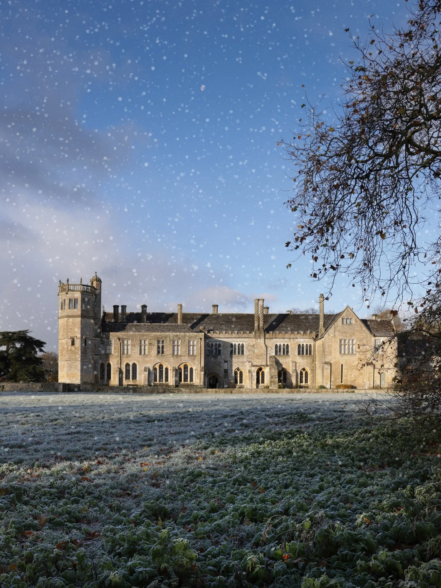Christmas greetings from beyond Bath with a trip to wonderful Lacock Abbey in Wiltshire. Every year I visit here to celebrate the festive season, a walk in the gorgeous grounds exploring ancient heritage and soaking up the atmospheric decorations.
 
