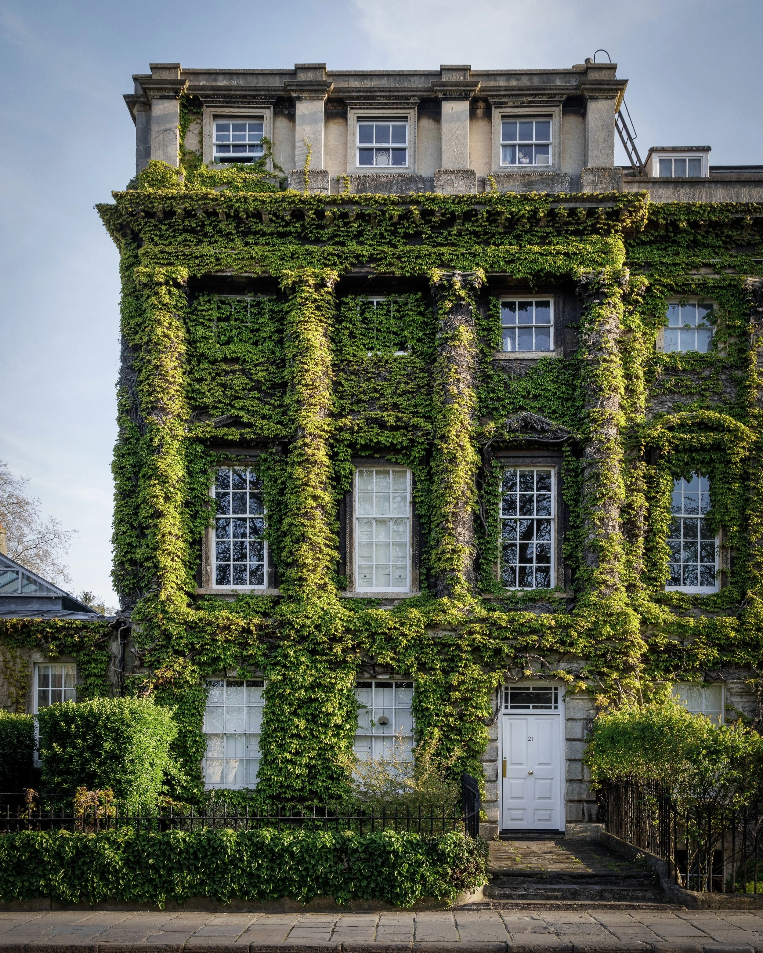 One of the leafiest and lovely properties in Bath stands at the corner of Queens Square. A firm favourite in the autumn, the creeper is ablaze with golden tones of orange, red and even deep purple, but at this time of year it is a verdant and vibrant