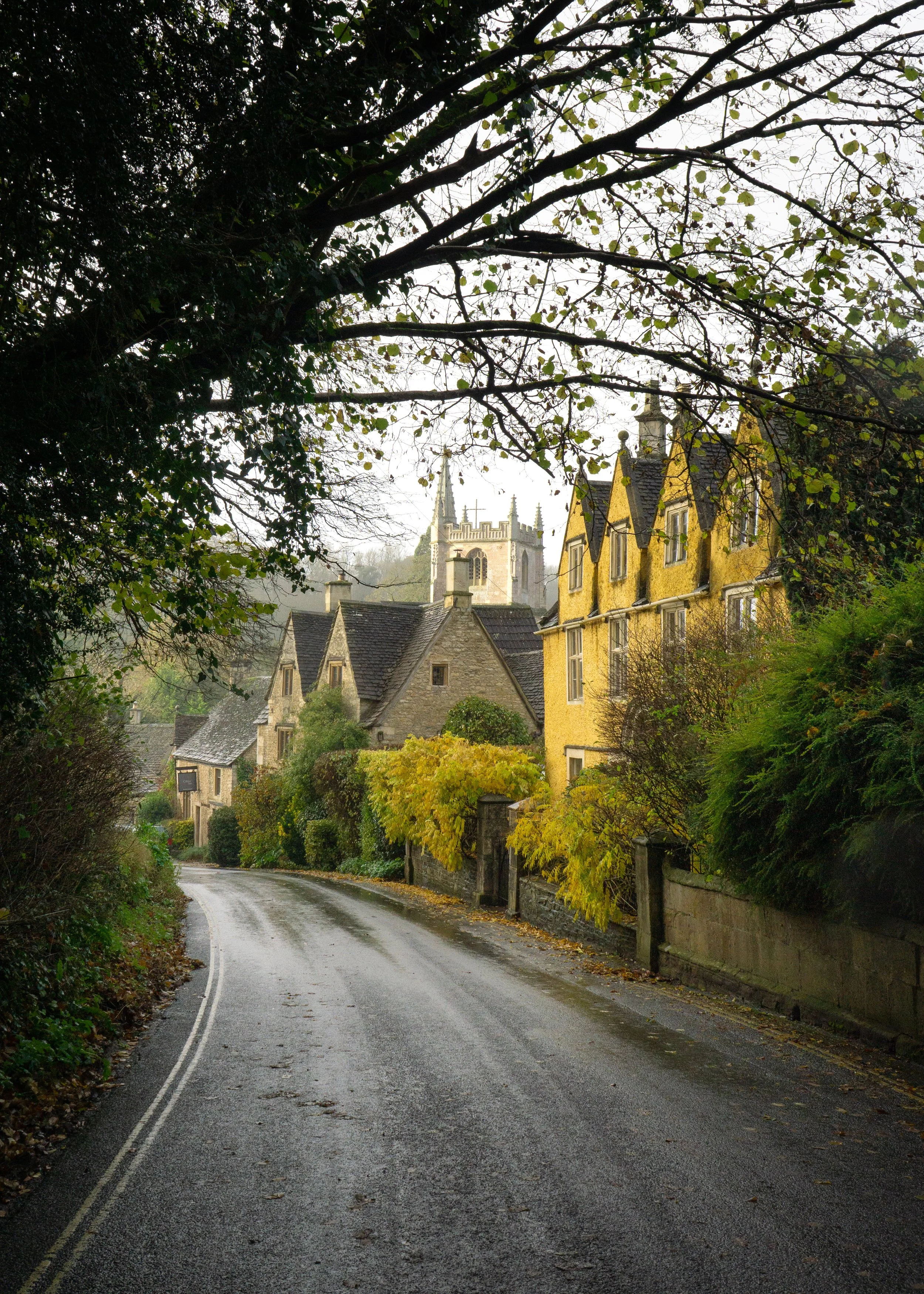 Quaint village road with stone houses, lush greenery, and a distant church spire; tree branches framing the top.