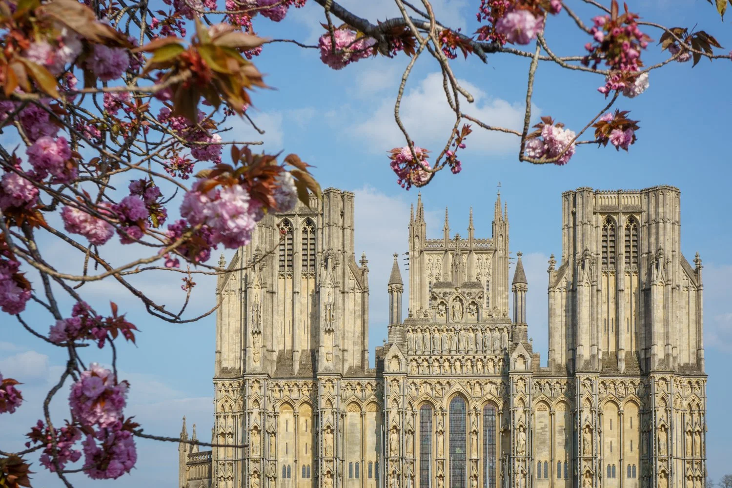 Wells Cathedral - Somerset - Casper Farrell-1.jpg