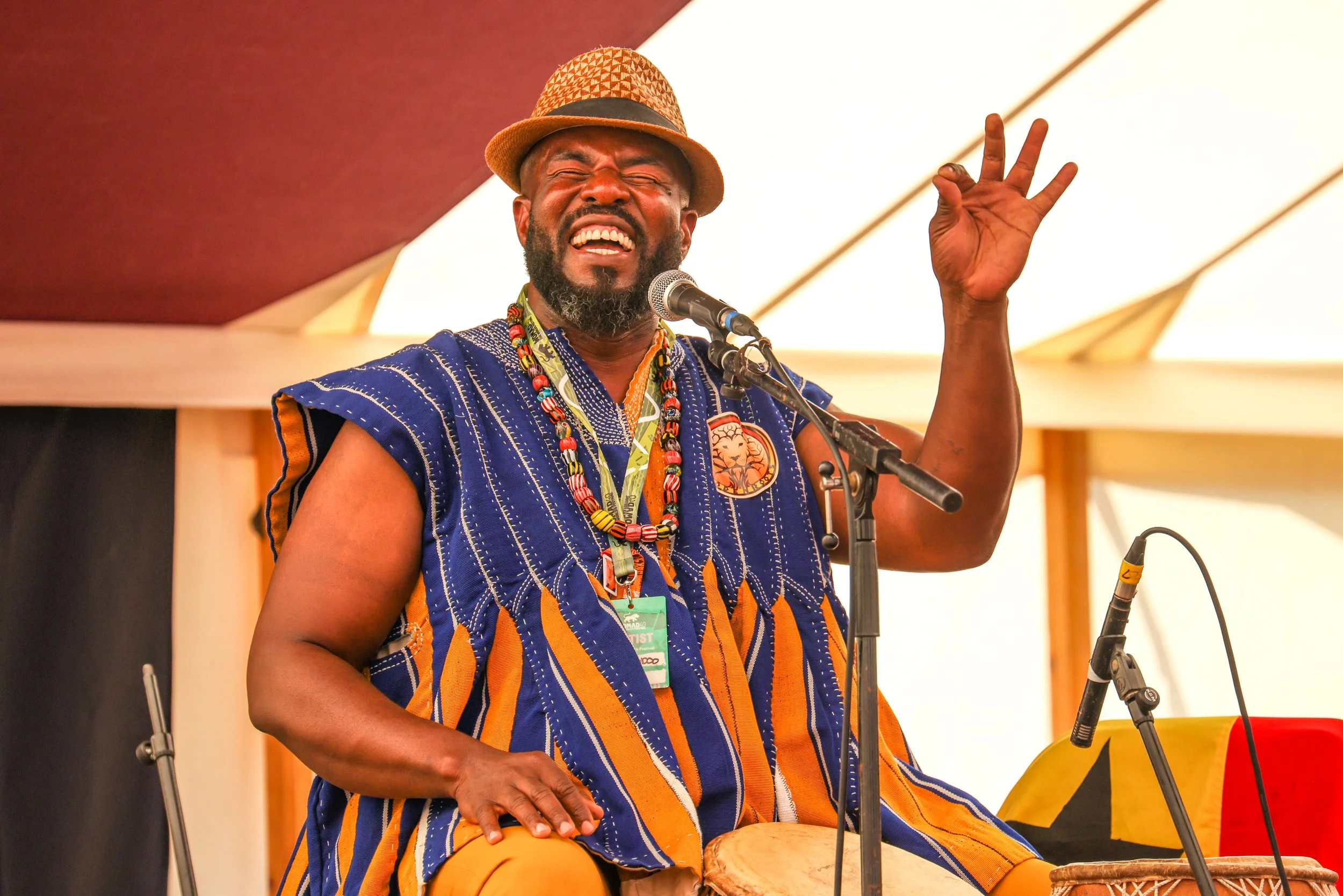 Womad Festival 2022-6.JPG