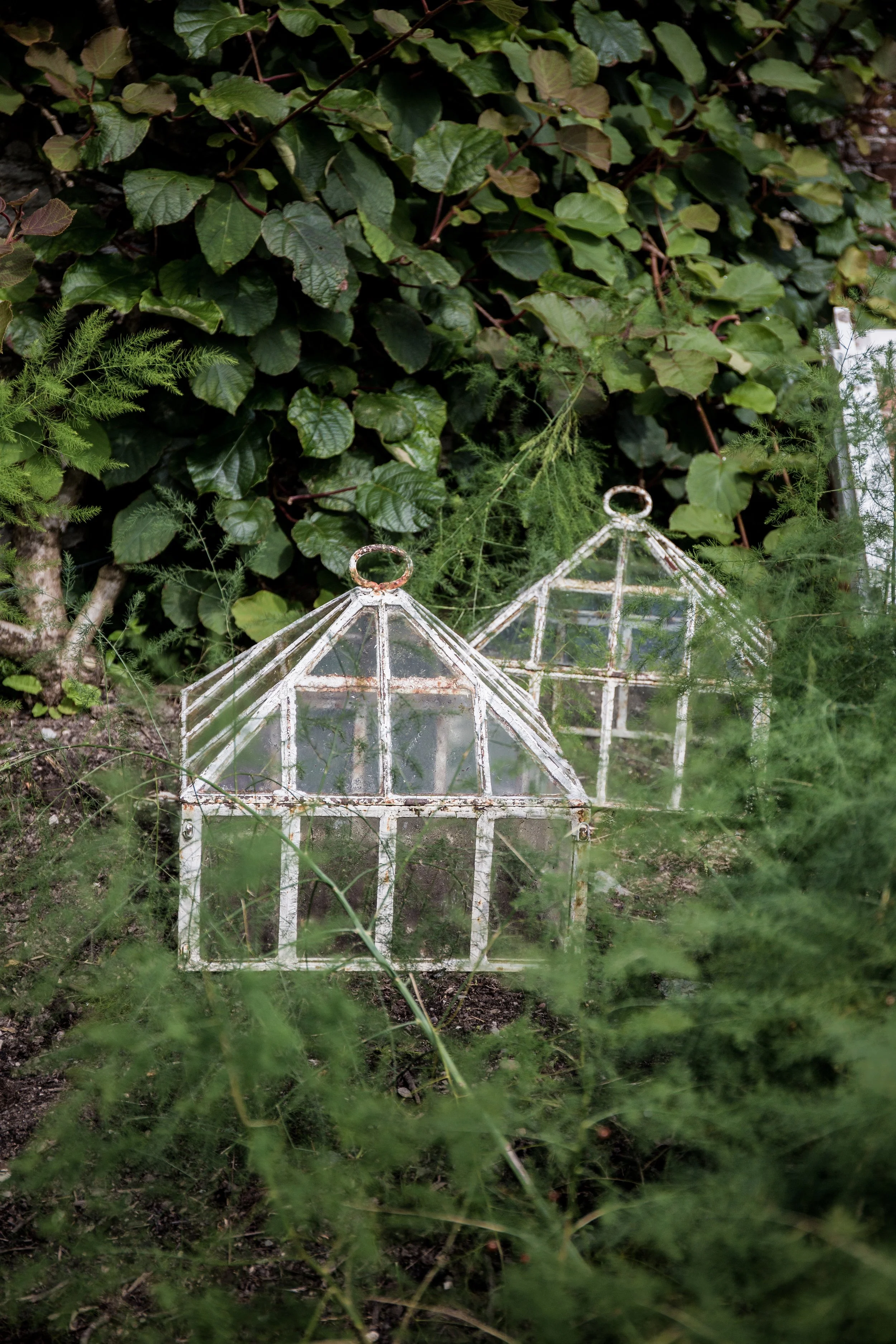 Arlington Court - Devon - Sept 2021 - Casper Farrell-1-15.JPG