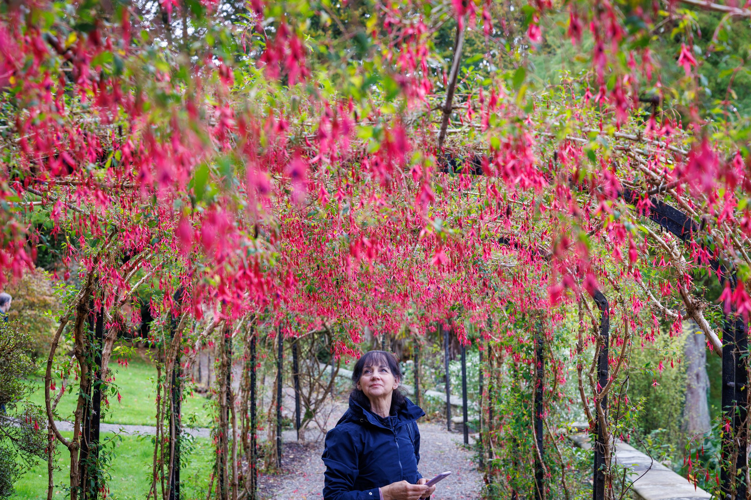 Penrhyn Castle - The National Trust