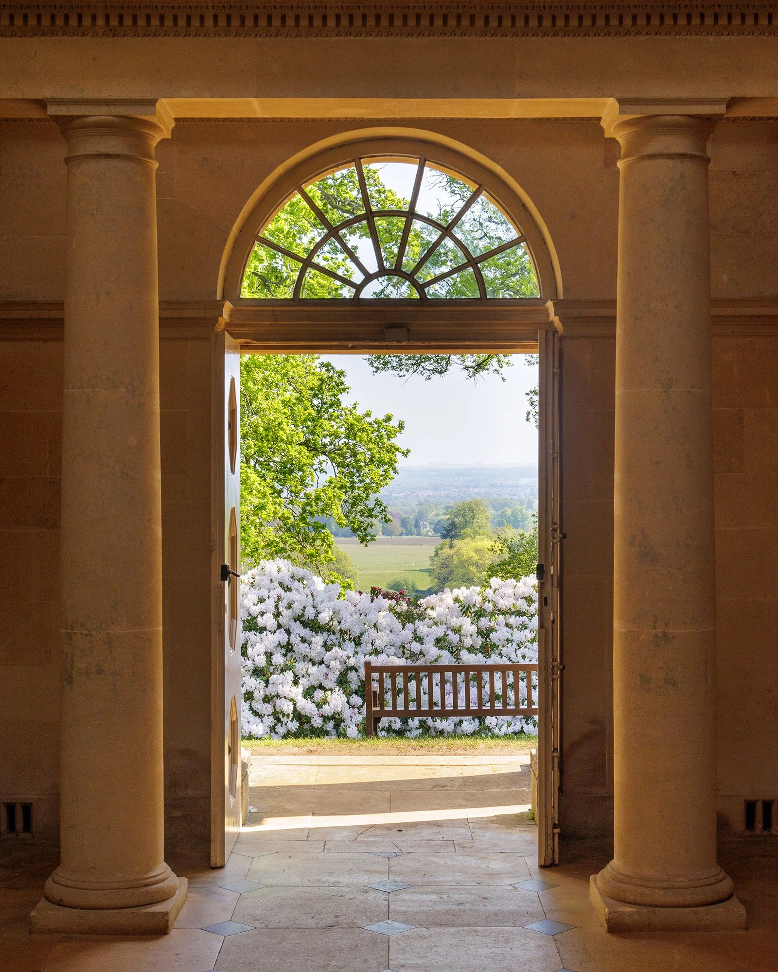 Bowood Woodland Garden, Wiltshire