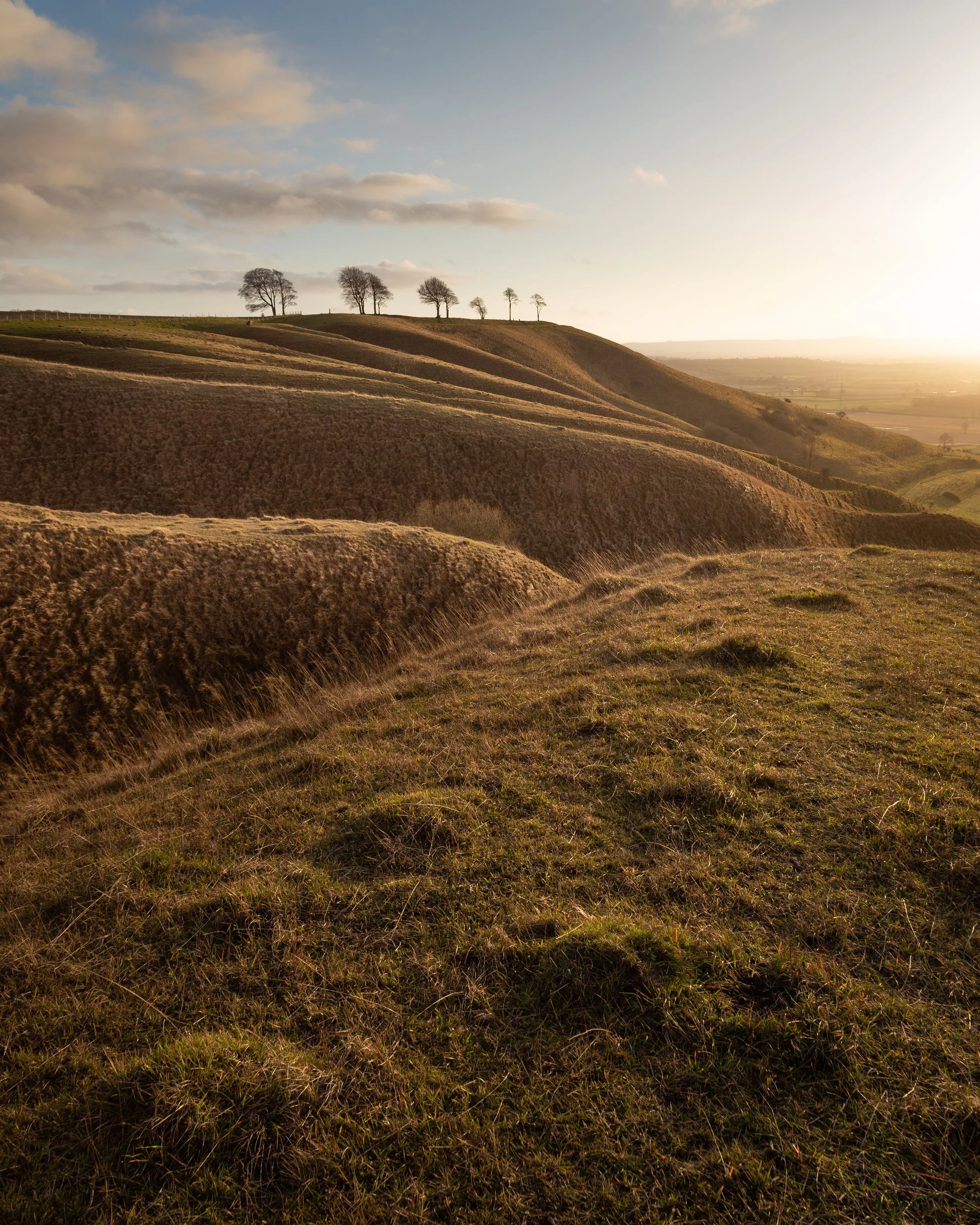 Rolling hills with sparse trees at sunset