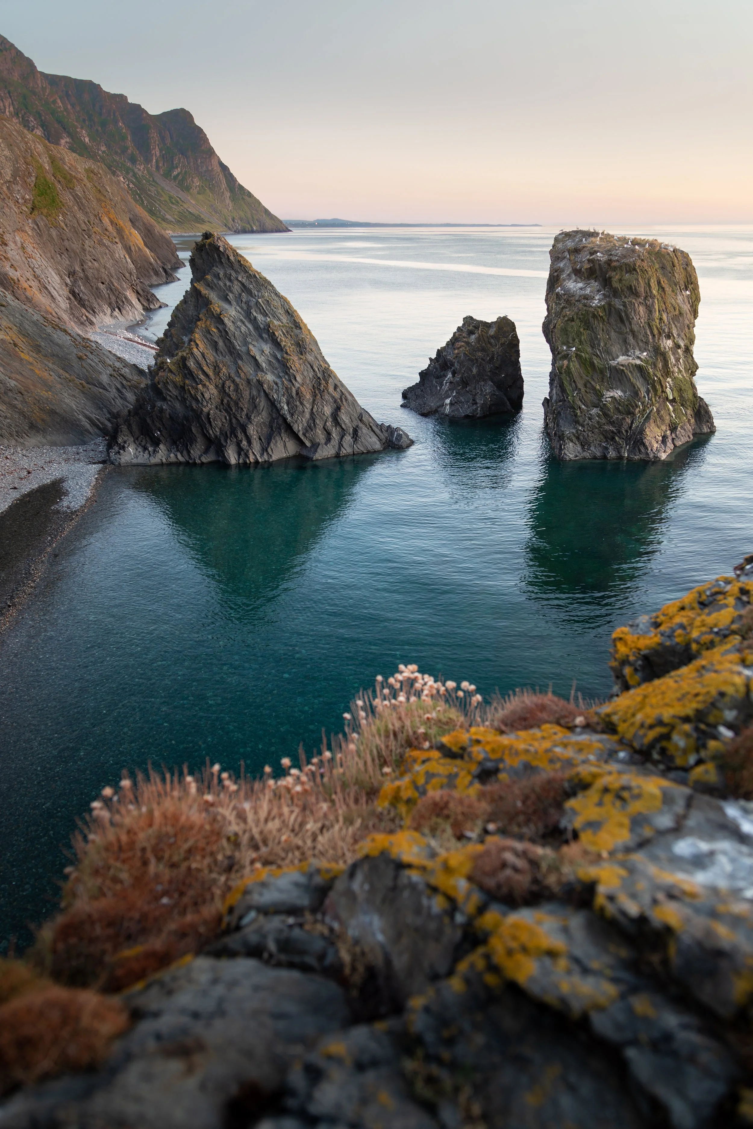 Coastal cliffs and sea stacks at sunset, with calm ocean water reflecting the sky, and vegetation on rocky foreground.