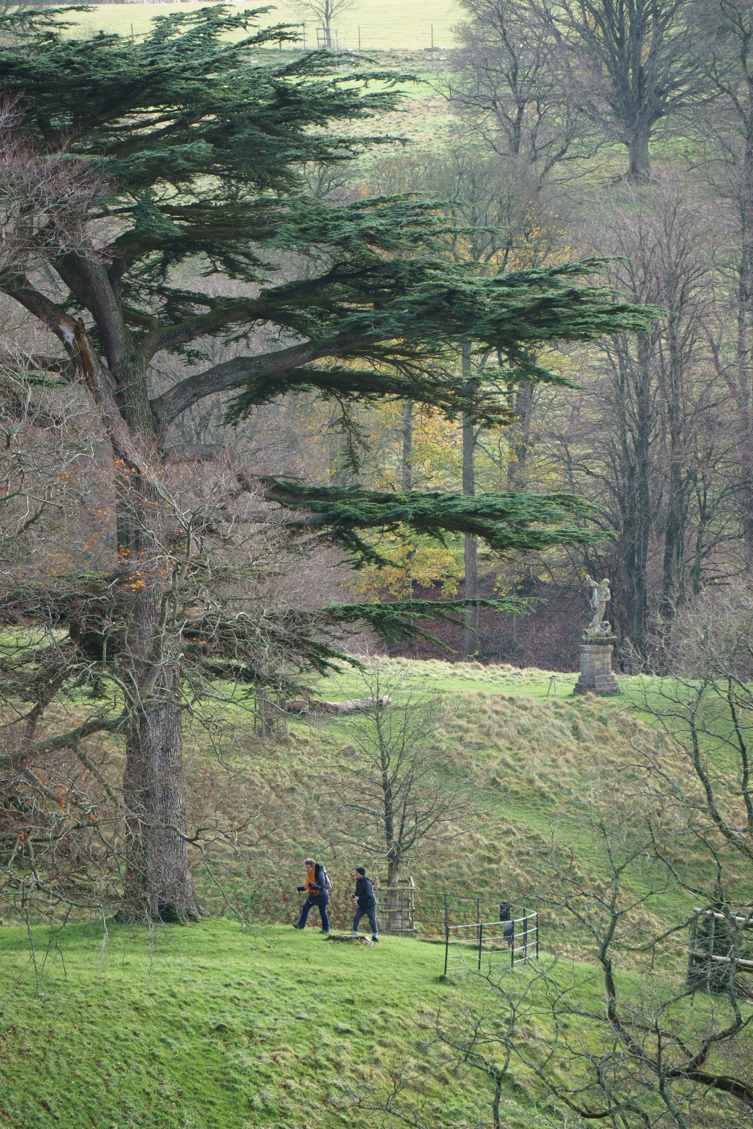 Dyrham Park - The National Trust