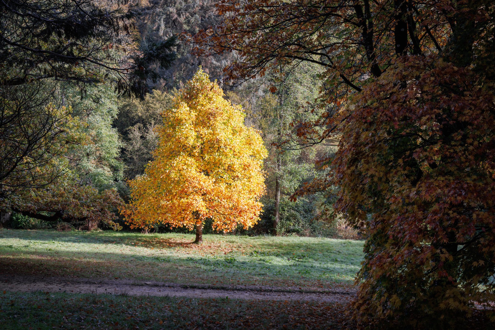 Stourhead - The National Trust
