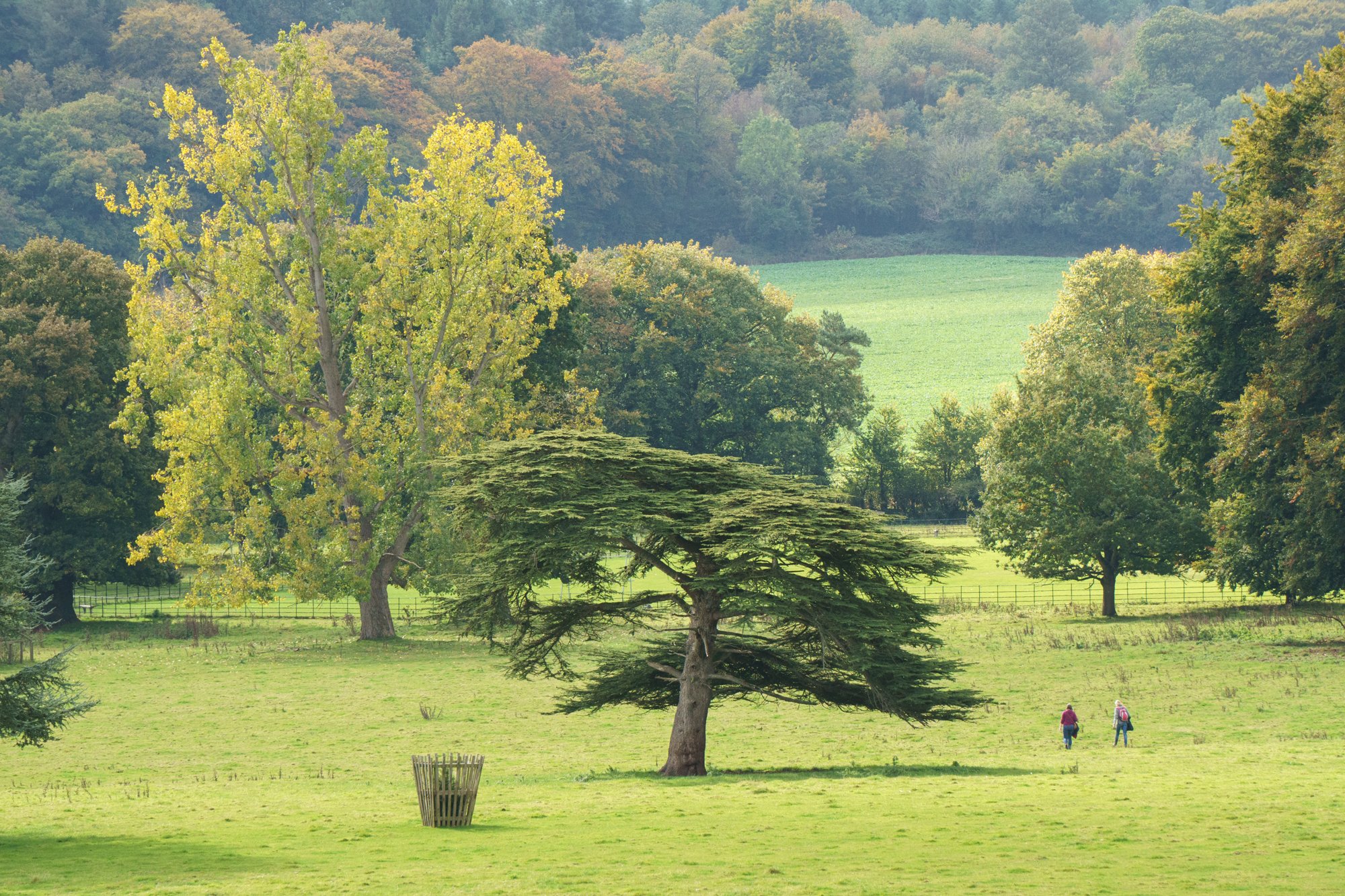 Killerton - National Trust