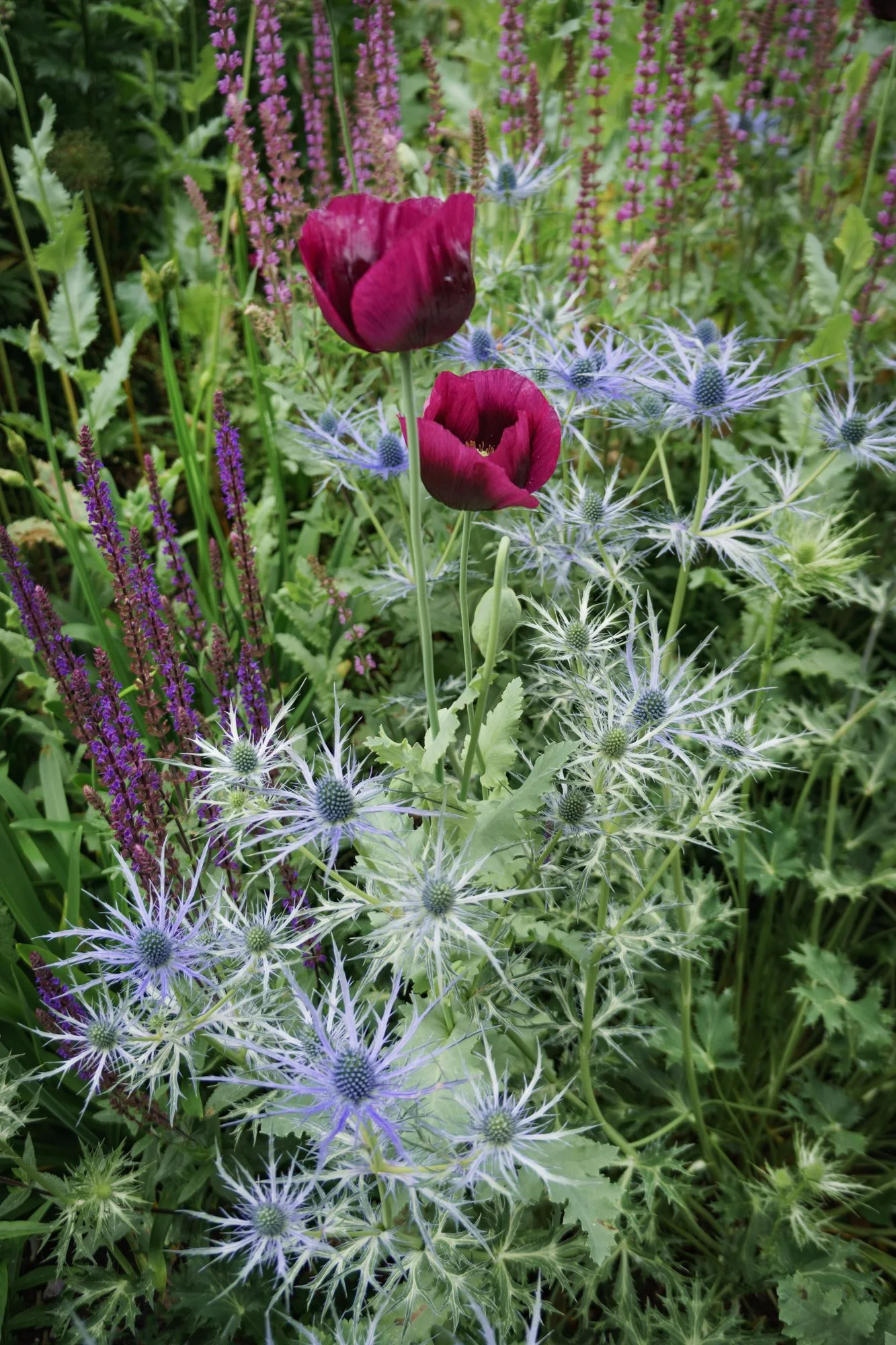 Iford Manor, Wiltshire