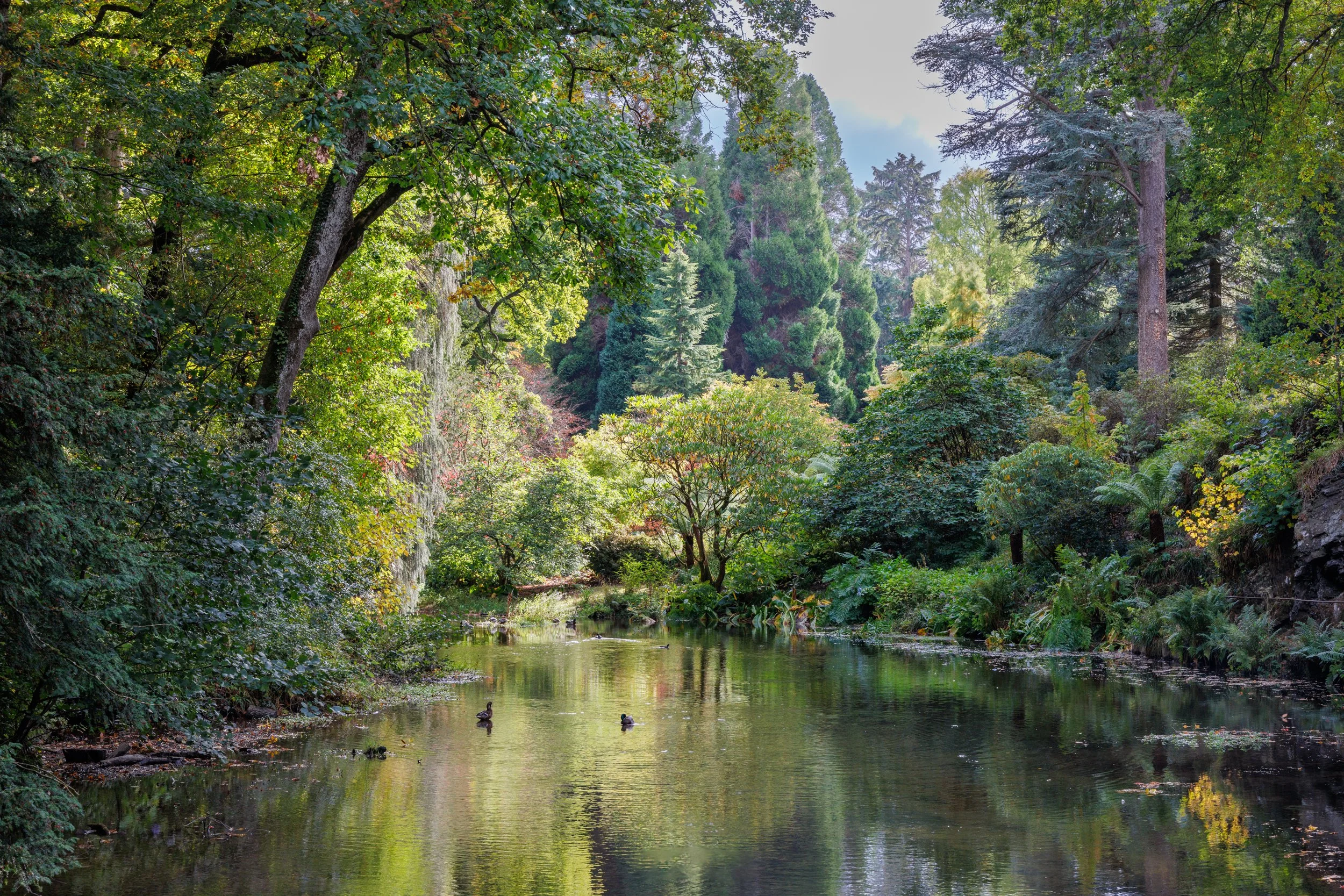 Bodnant Gardens, National Trust
