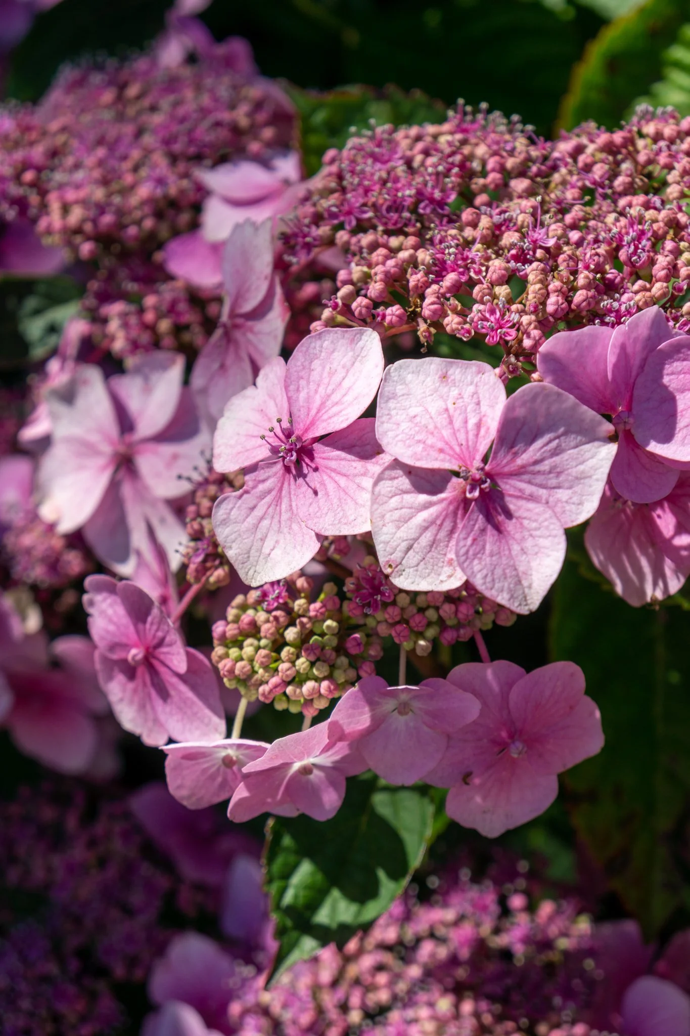 Stourhead - The National Trust
