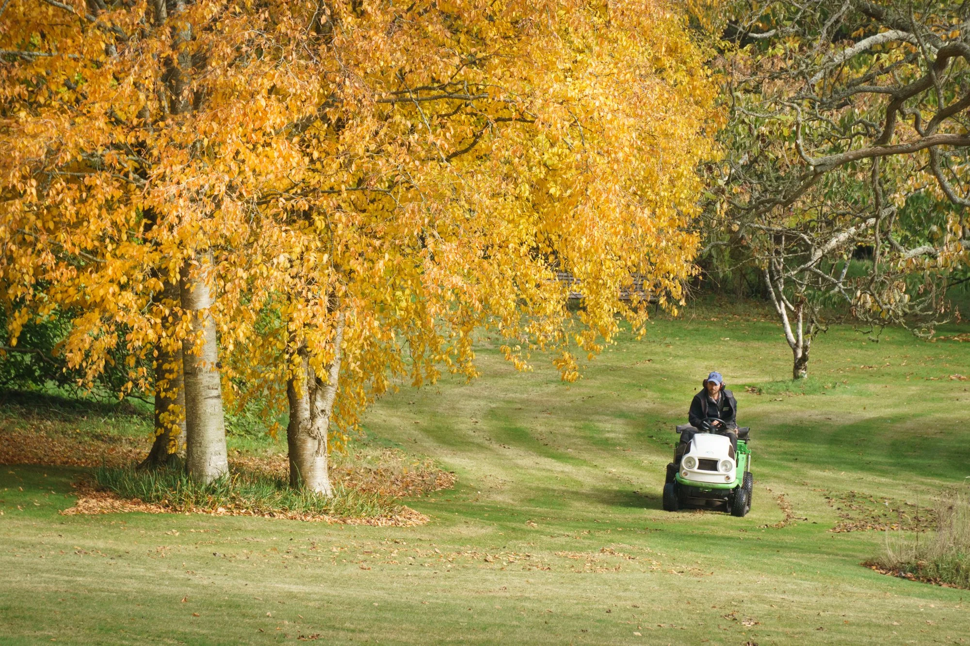 Killerton - National Trust