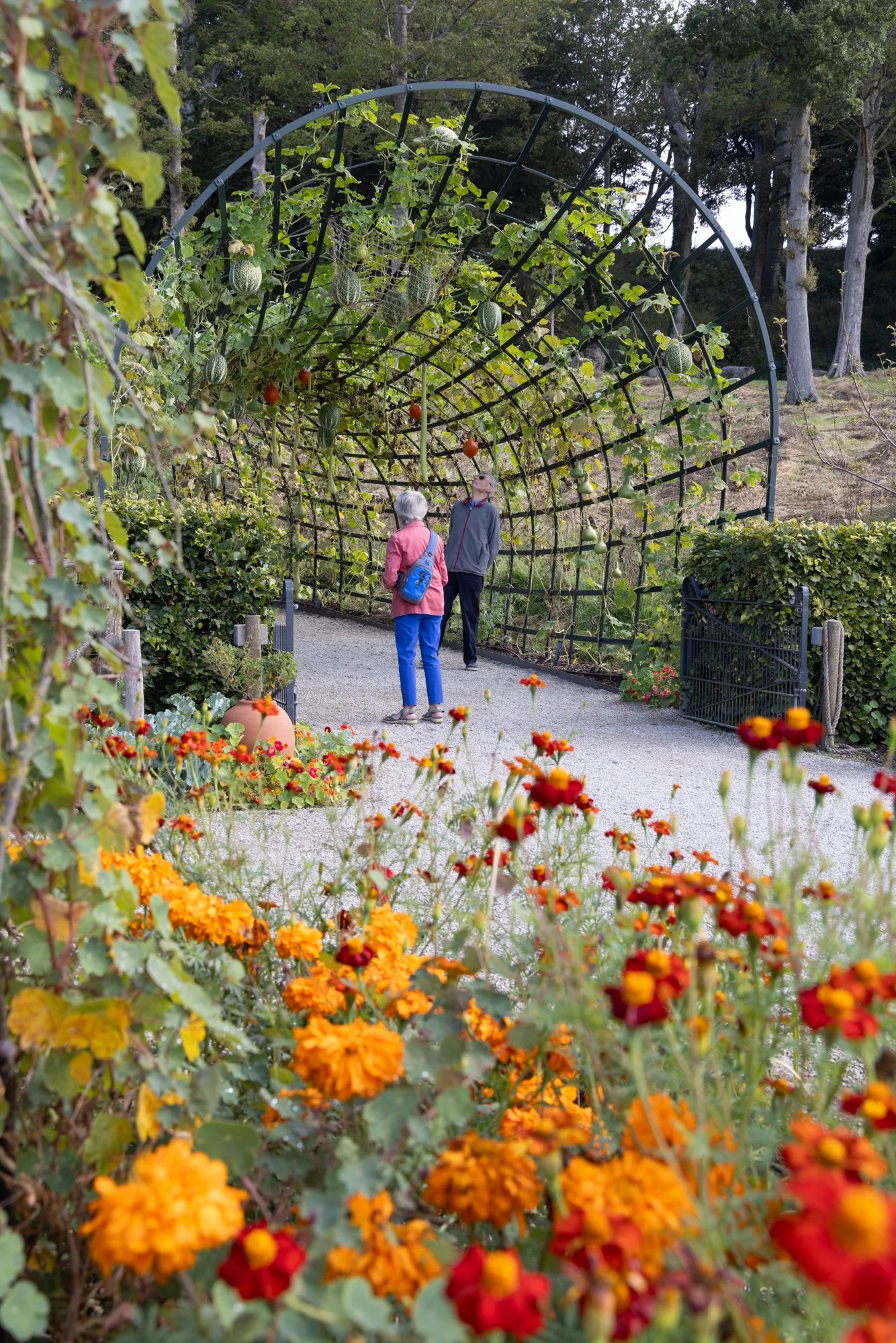 The Newt in Somerset