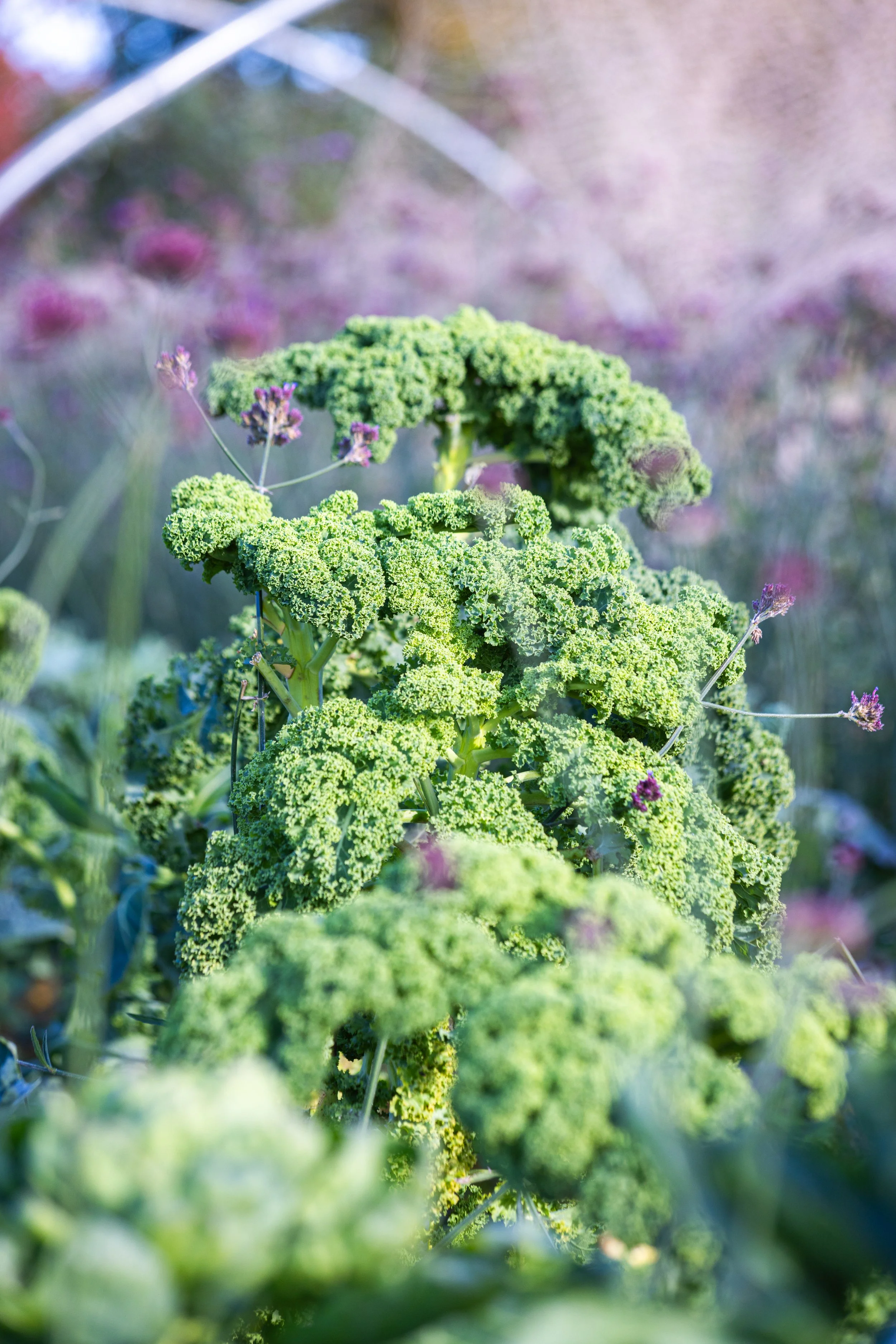 Combe Grove Hotel, Bath