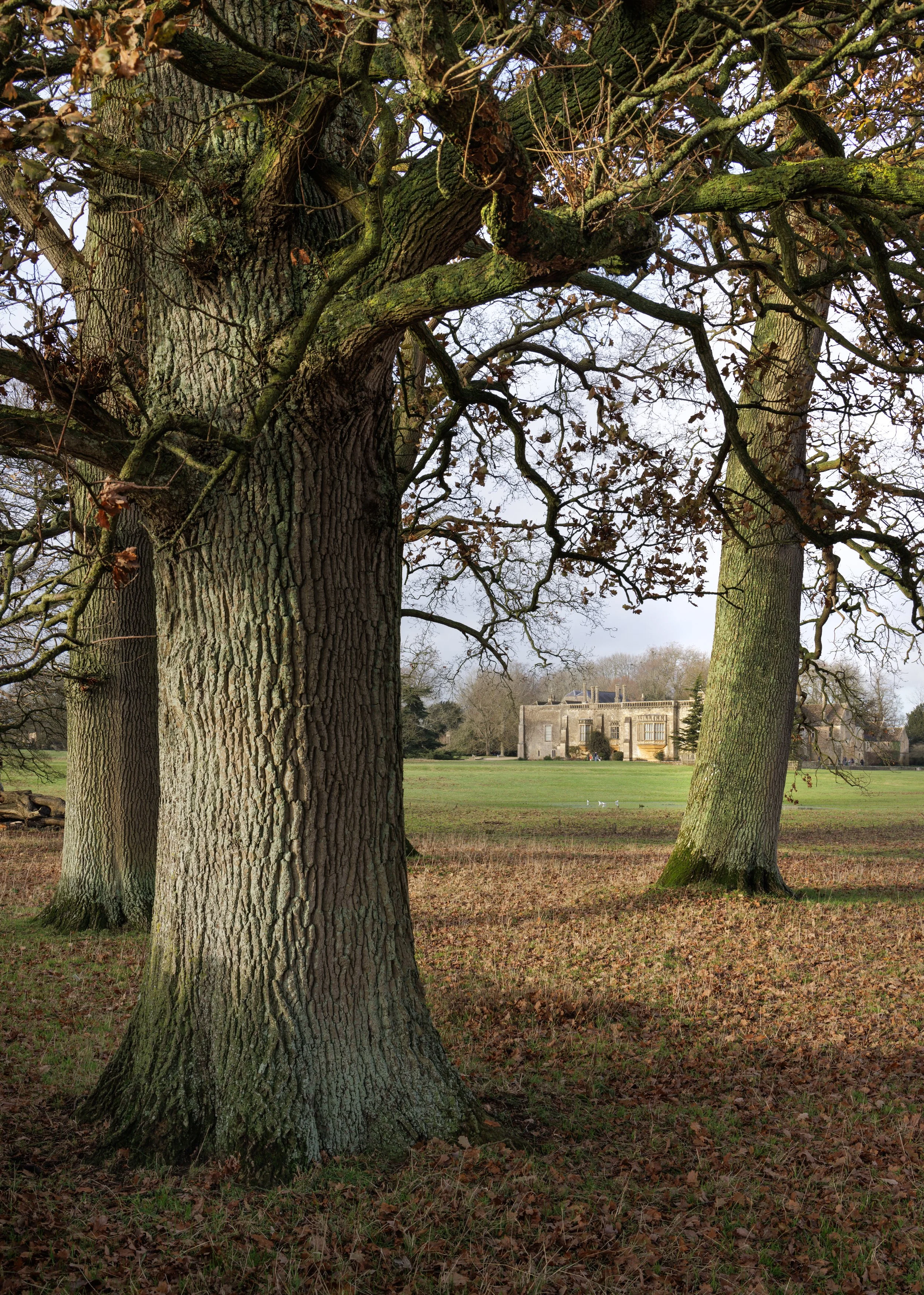 Lacock Abbey, Gardens & Village - National Trust