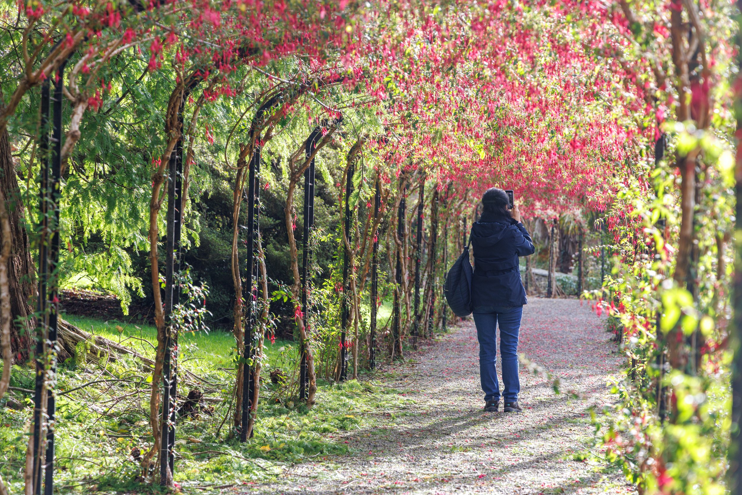 Penrhyn Castle - The National Trust