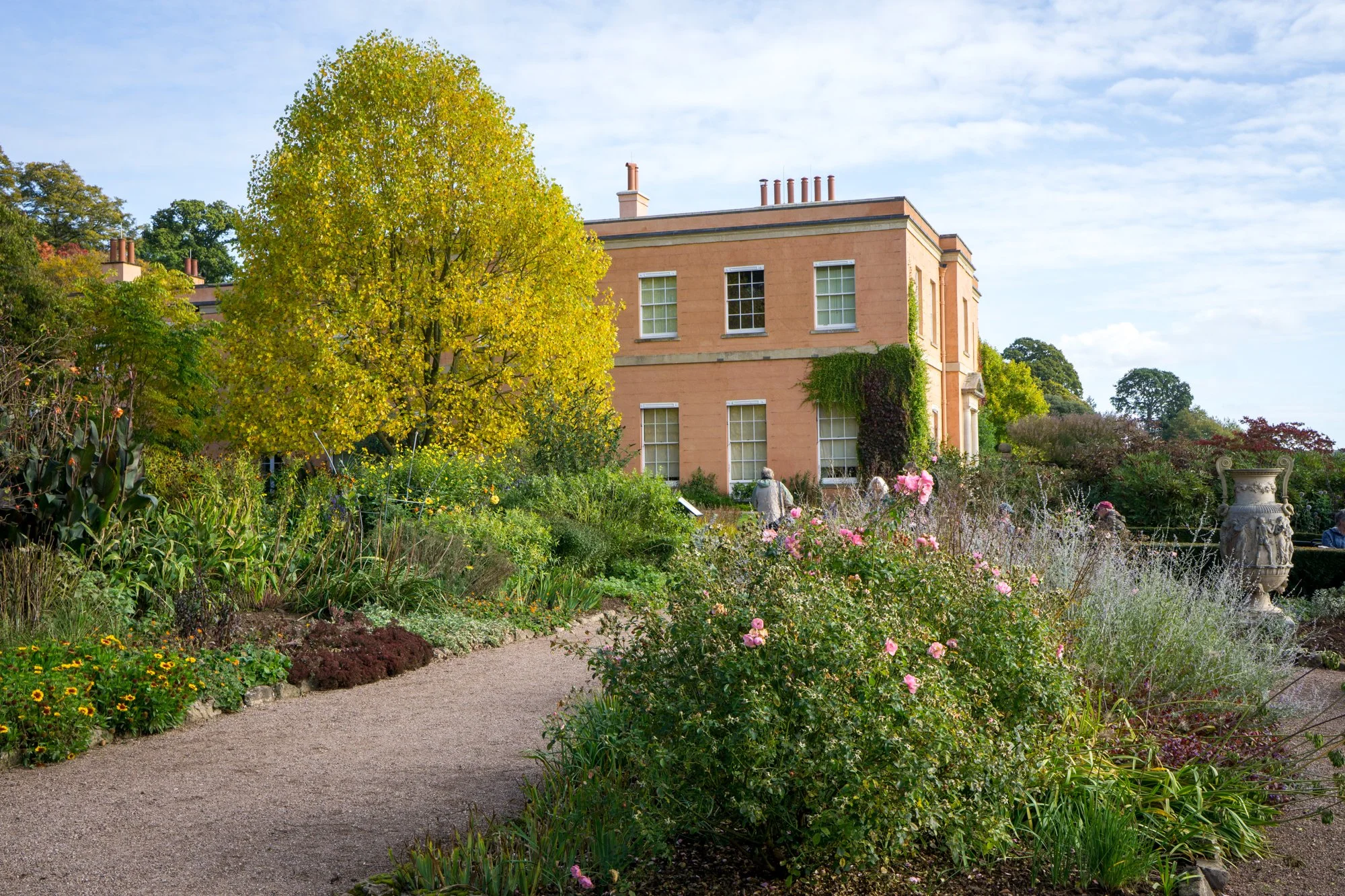Killerton - National Trust