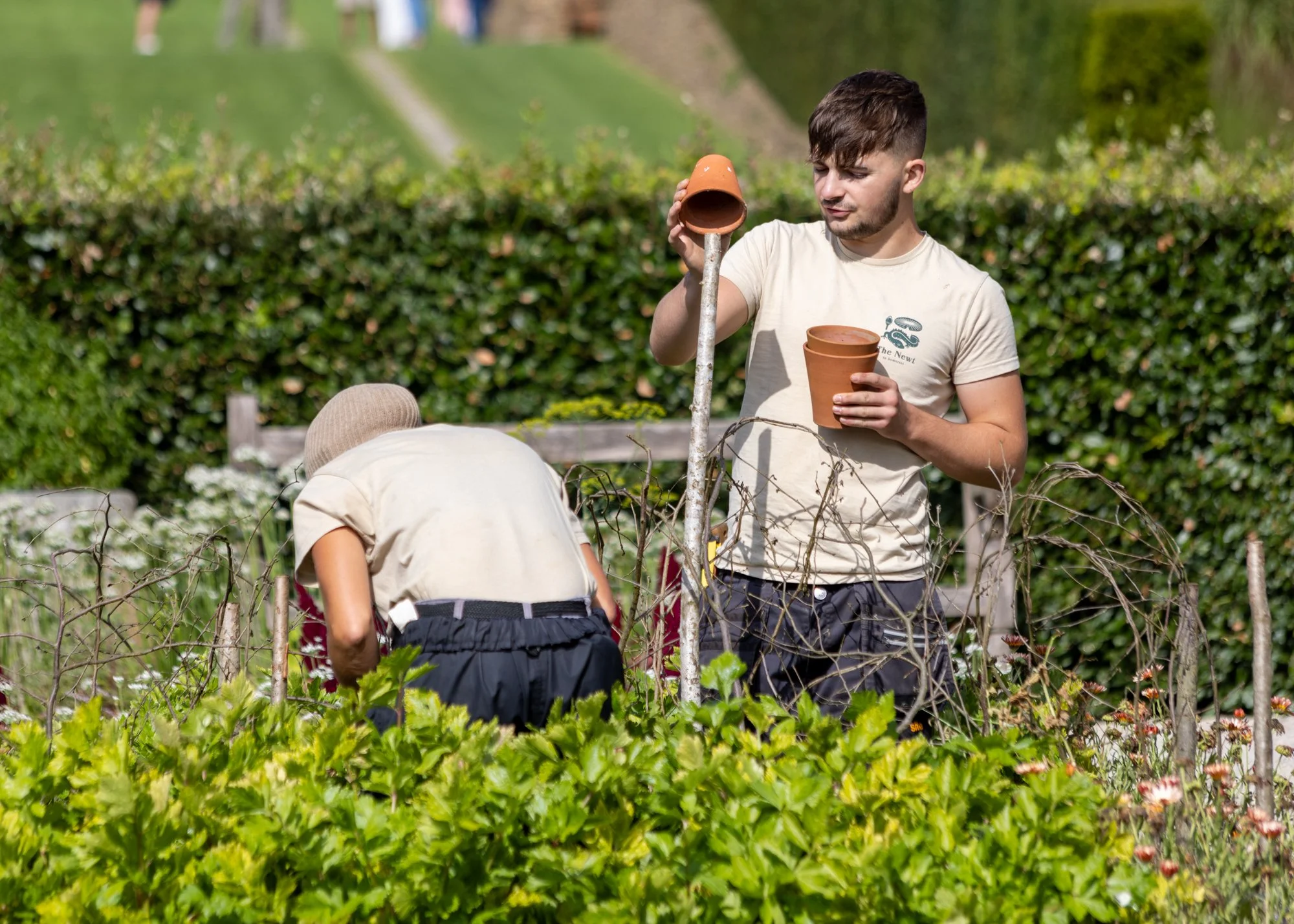 The Newt in Somerset