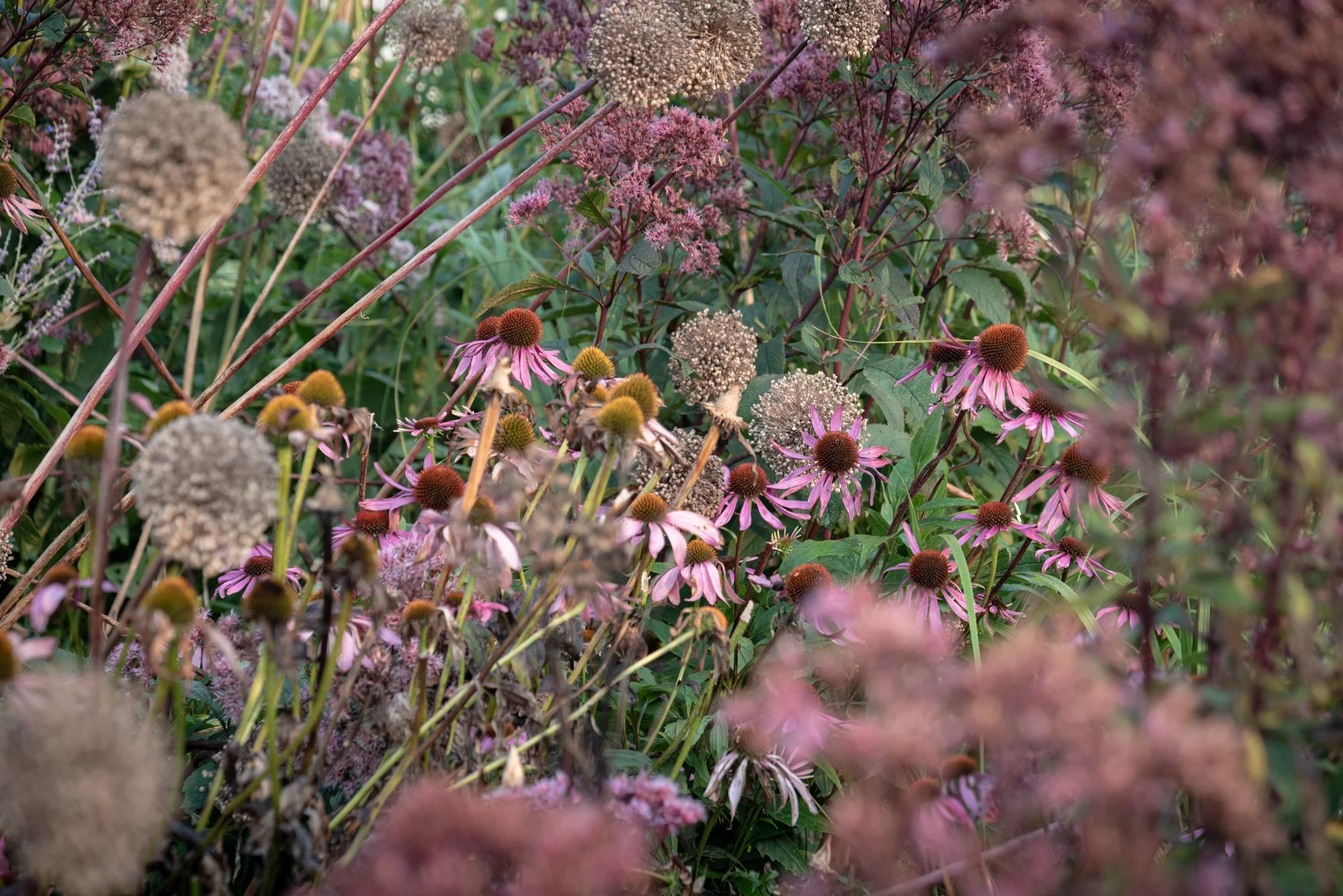 The American Museum & Gardens